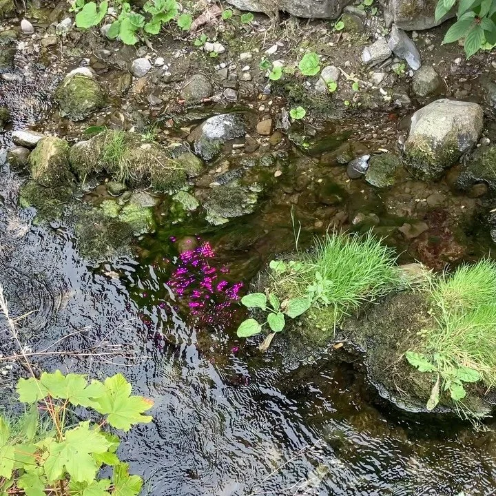 #moments #lightplay #sun #friends #slowtime