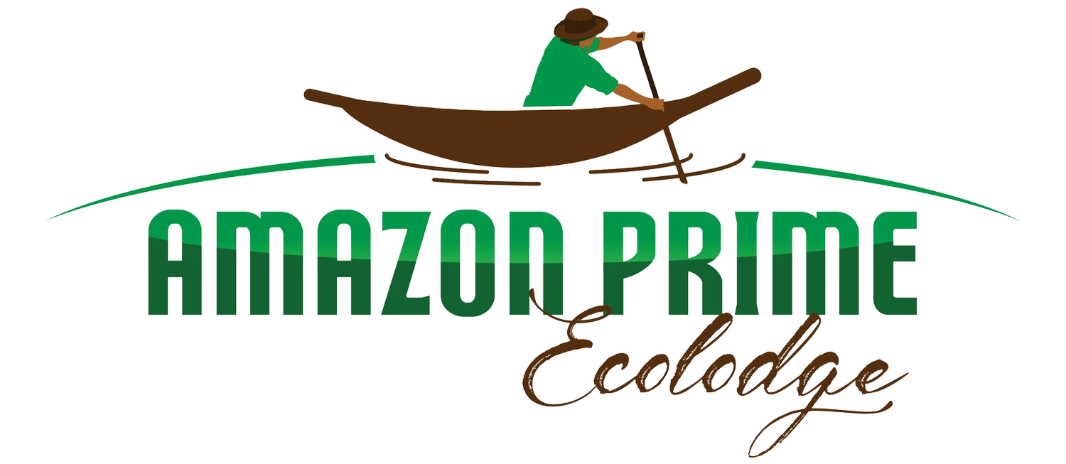 Amazon Prime Ecolodge