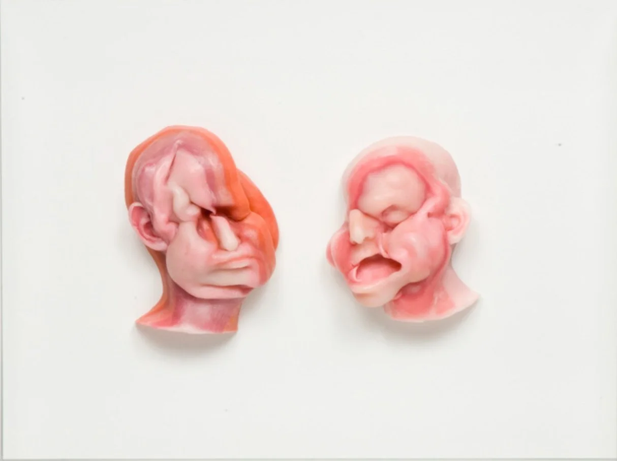 Hadrien et Antonin le pieux