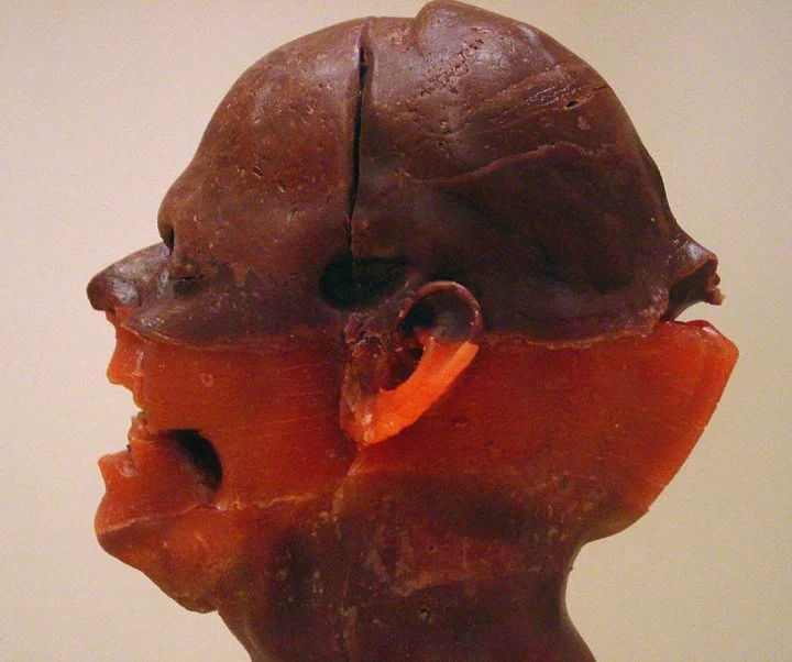 5.Journal des humeurs.jpg