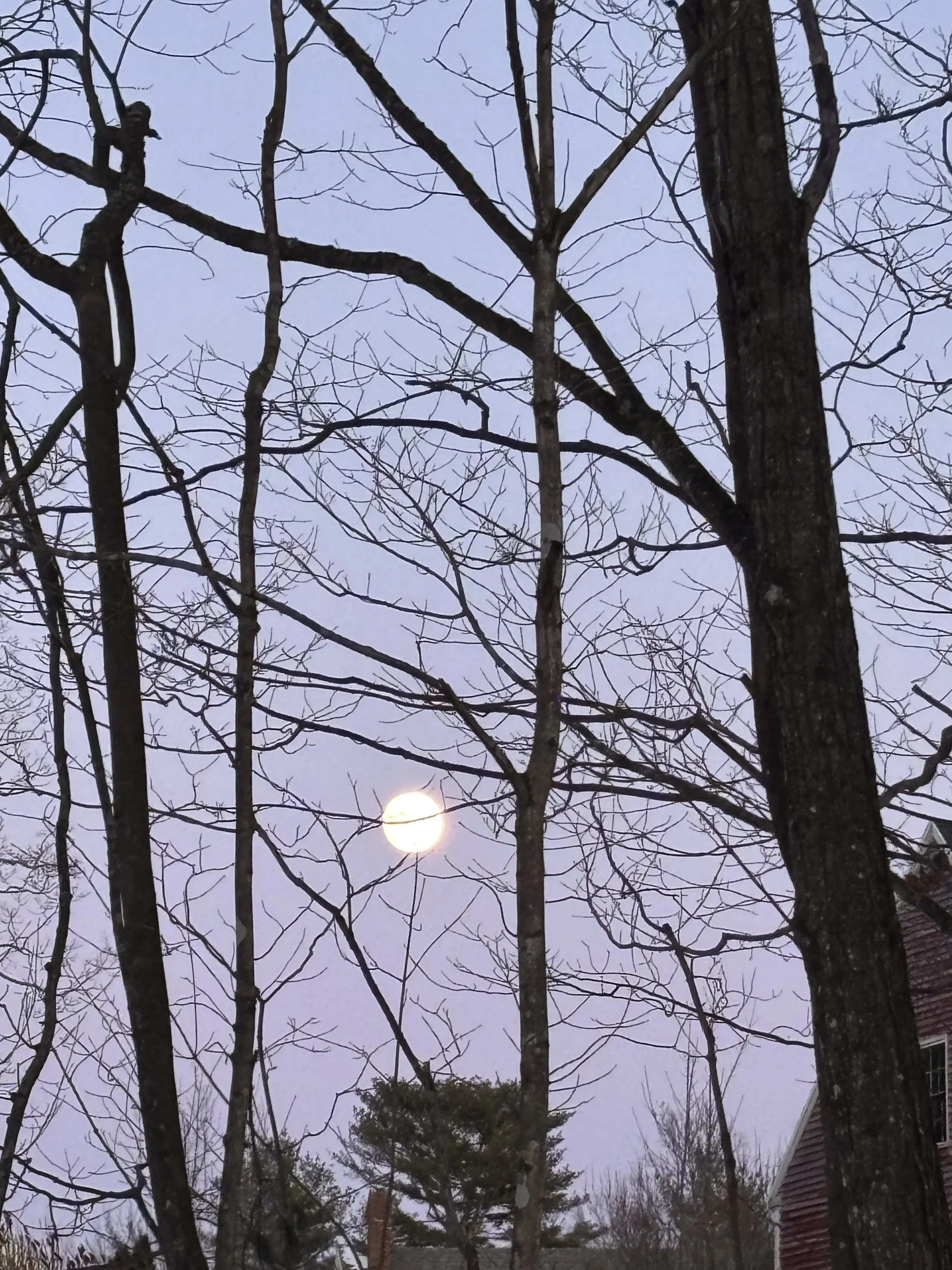 Kaleidoscopic infield