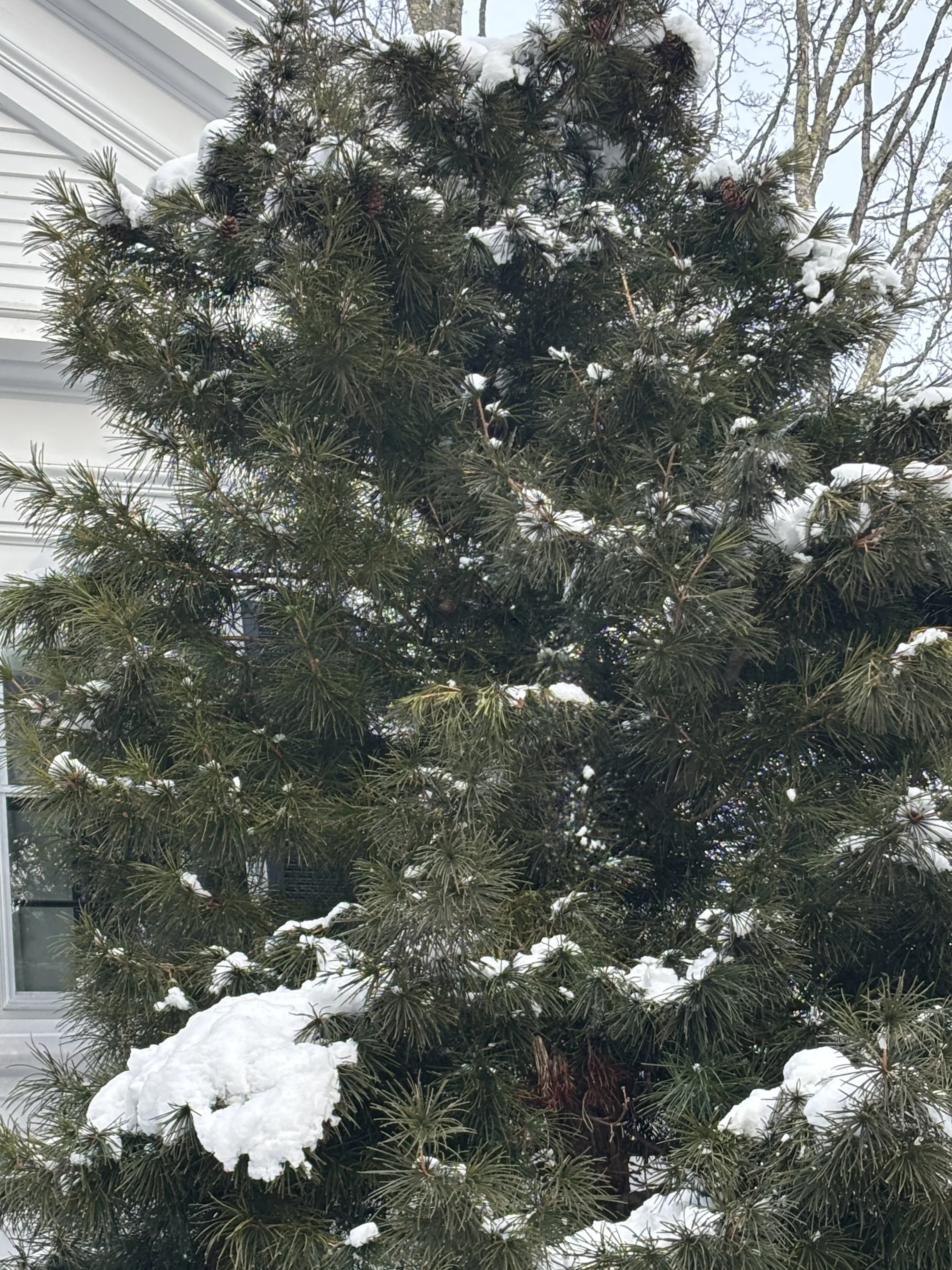 Unserious accumulation