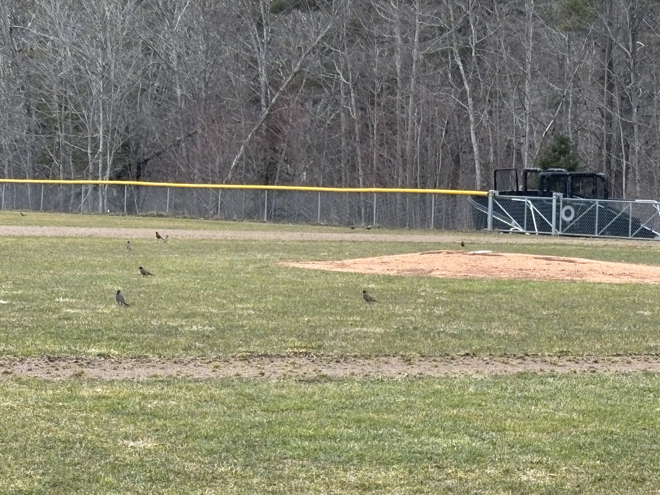 Play ball