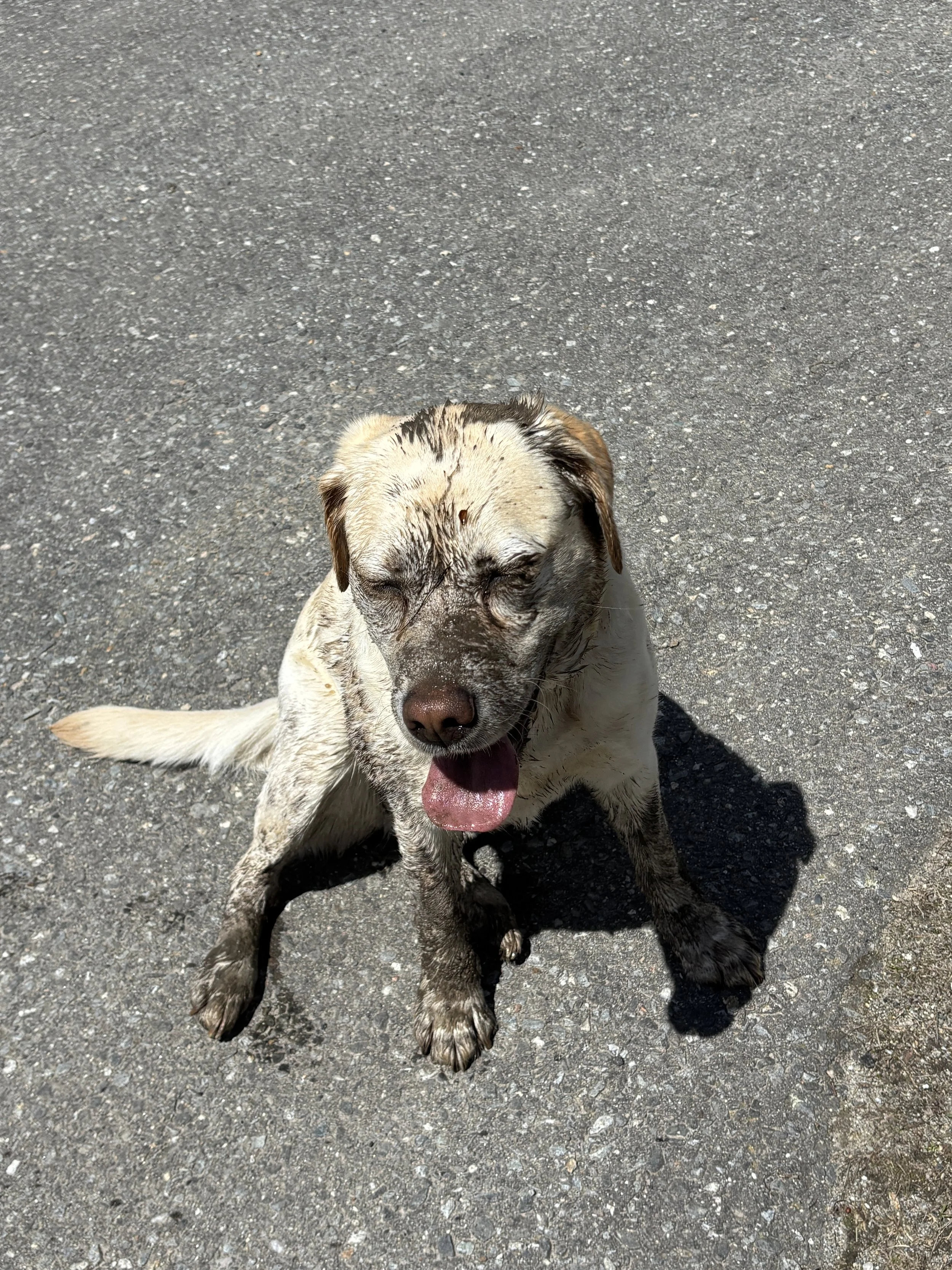 Mud dunk