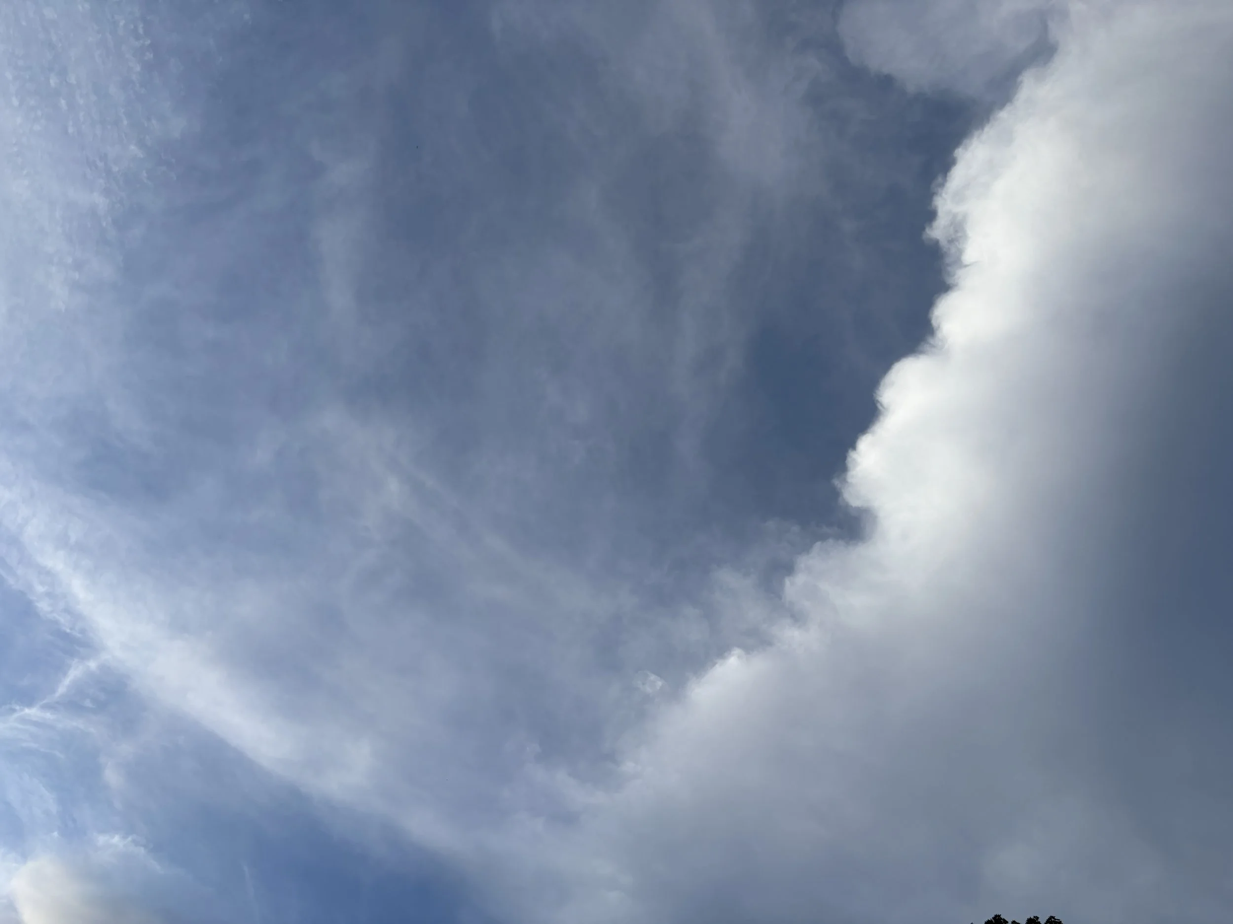 Nimbus
