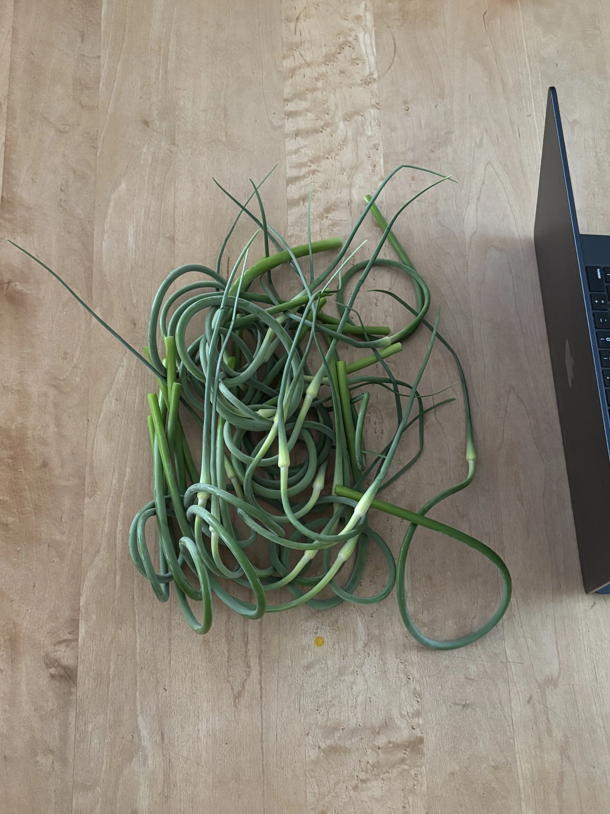 Scapes