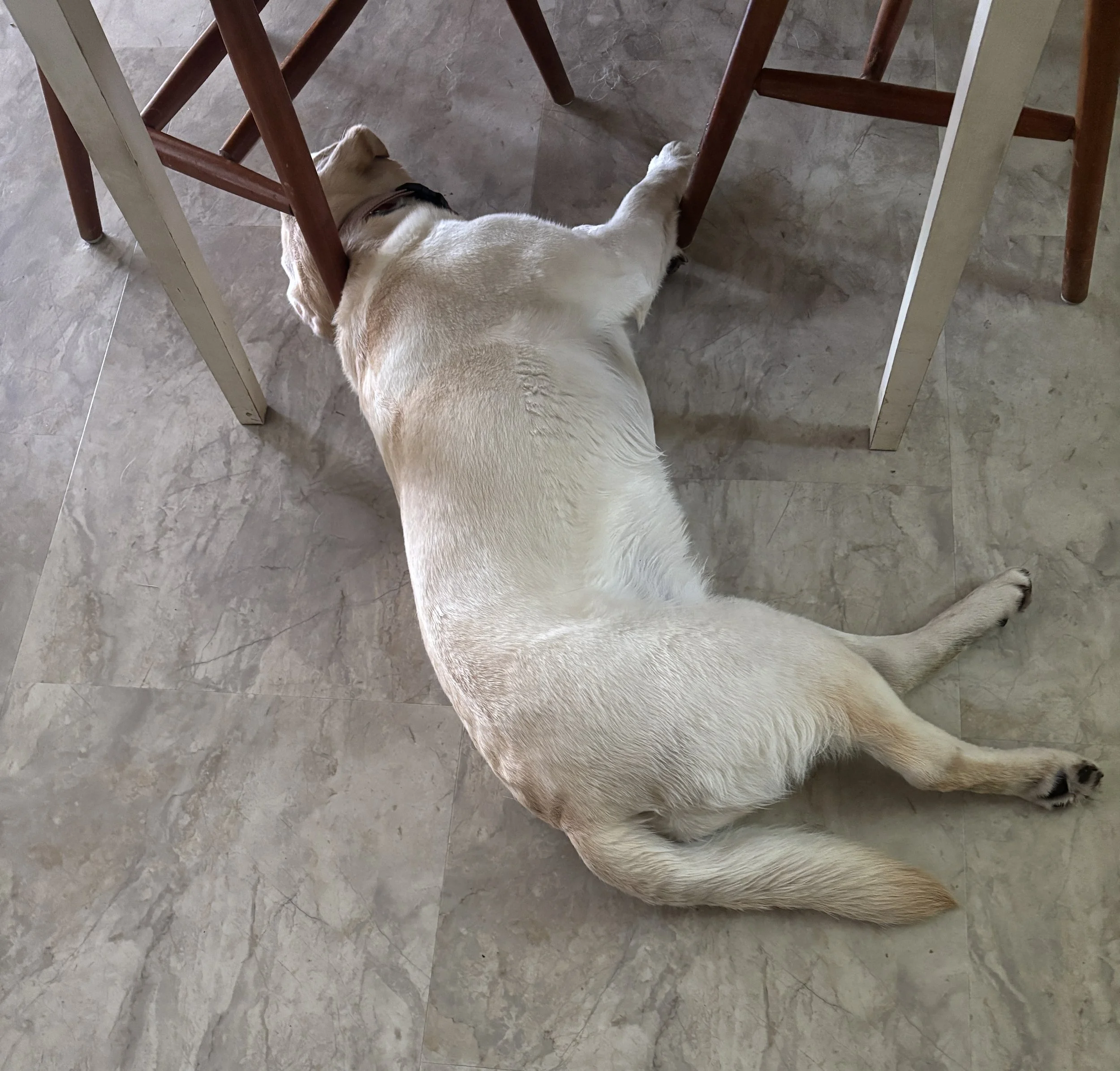 Floored