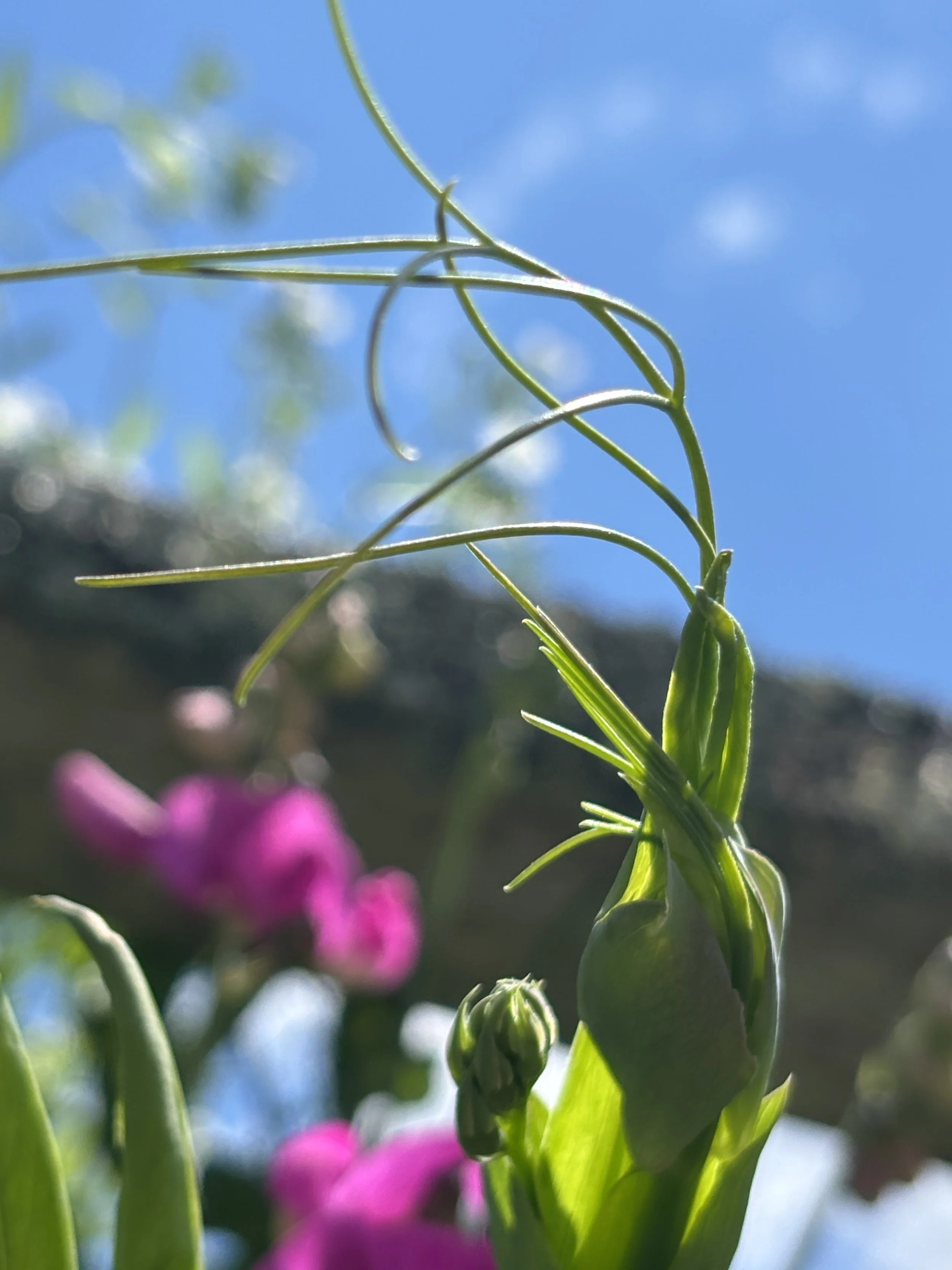 Reaching