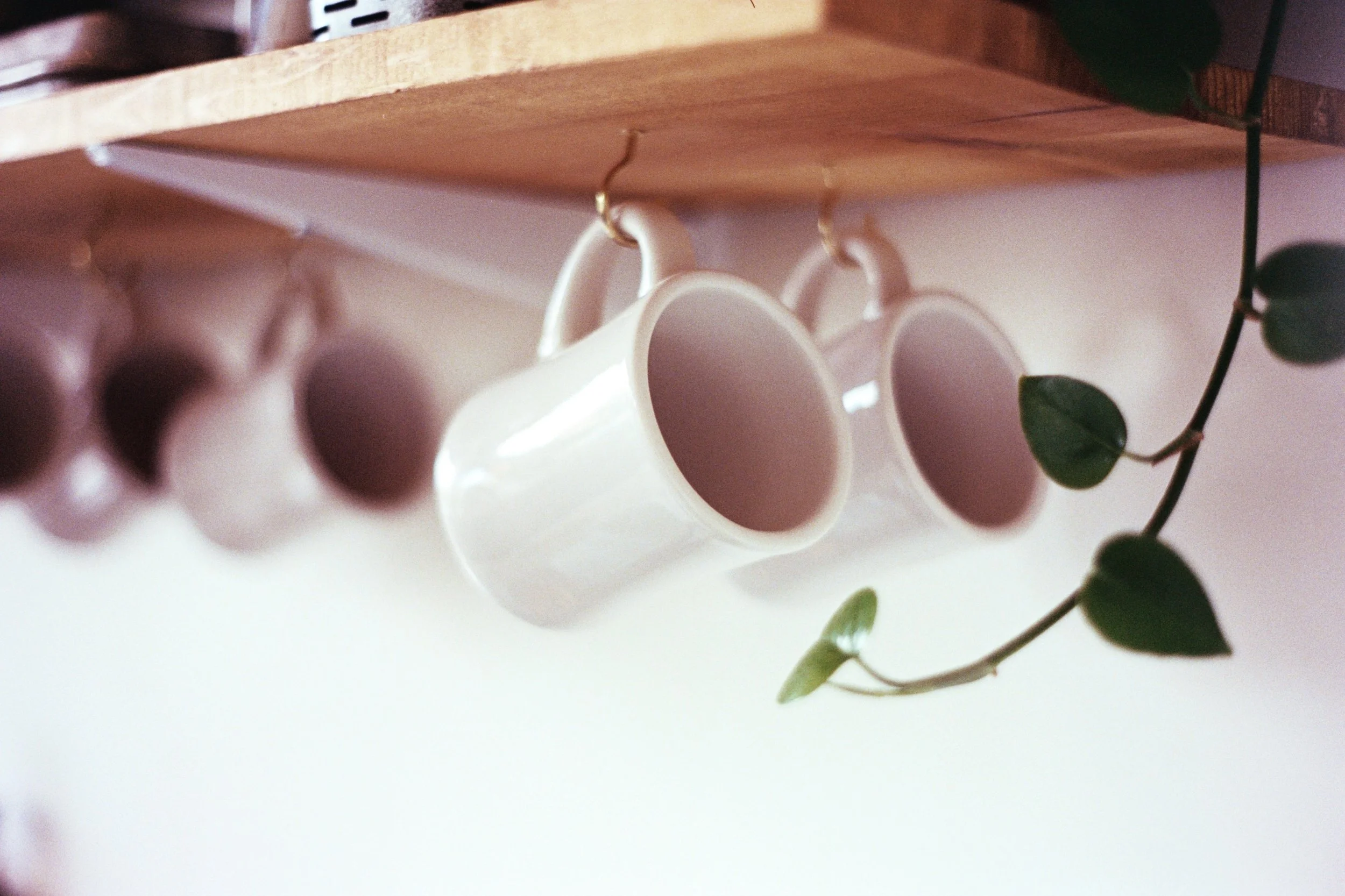 Easy Luck Coffee & Bodega