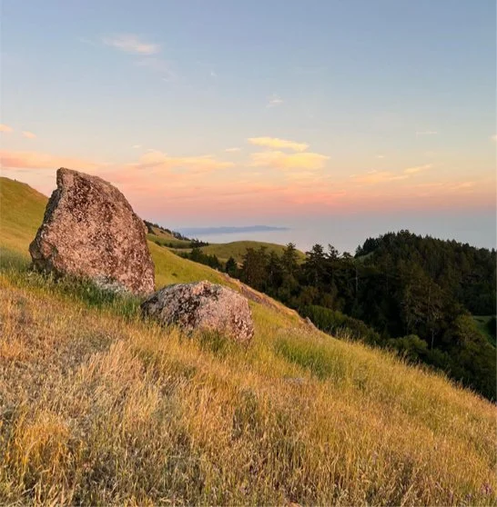 Rocks.jpg