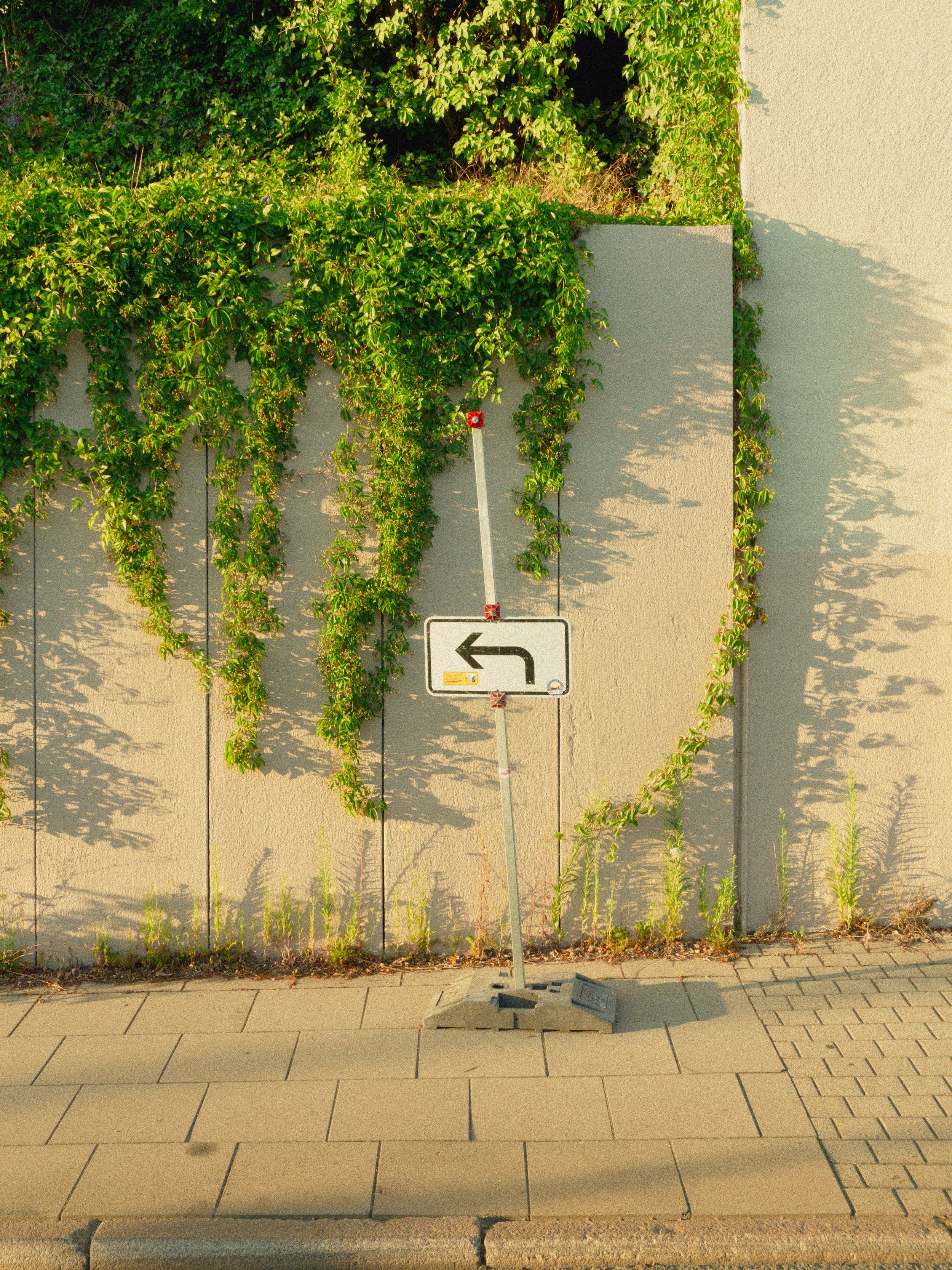 Arianna Corral Photographer The Art of everyday Photography-18.jpg