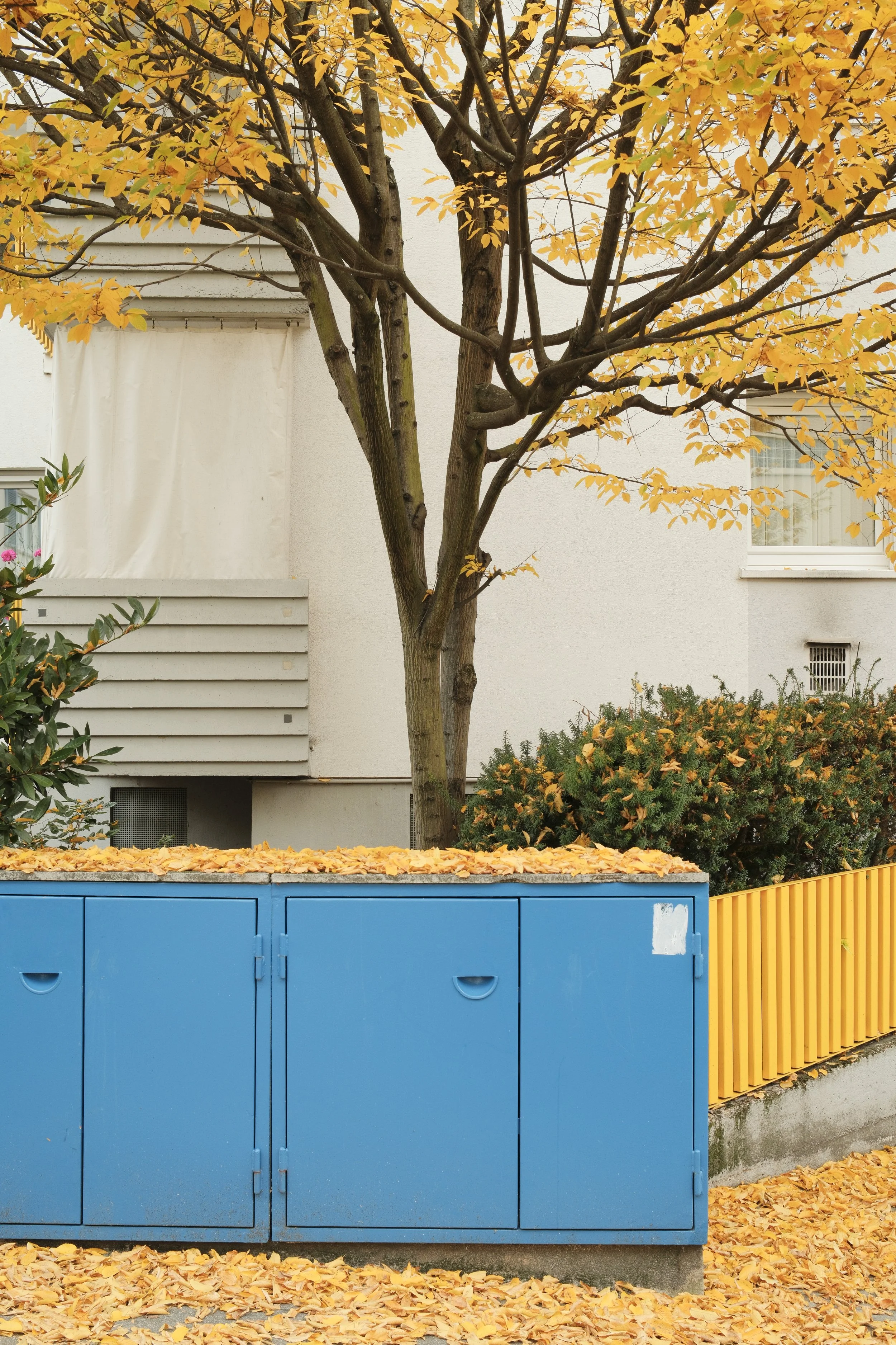 Arianna Corral Photographer The Art of everyday Photography-66.jpg