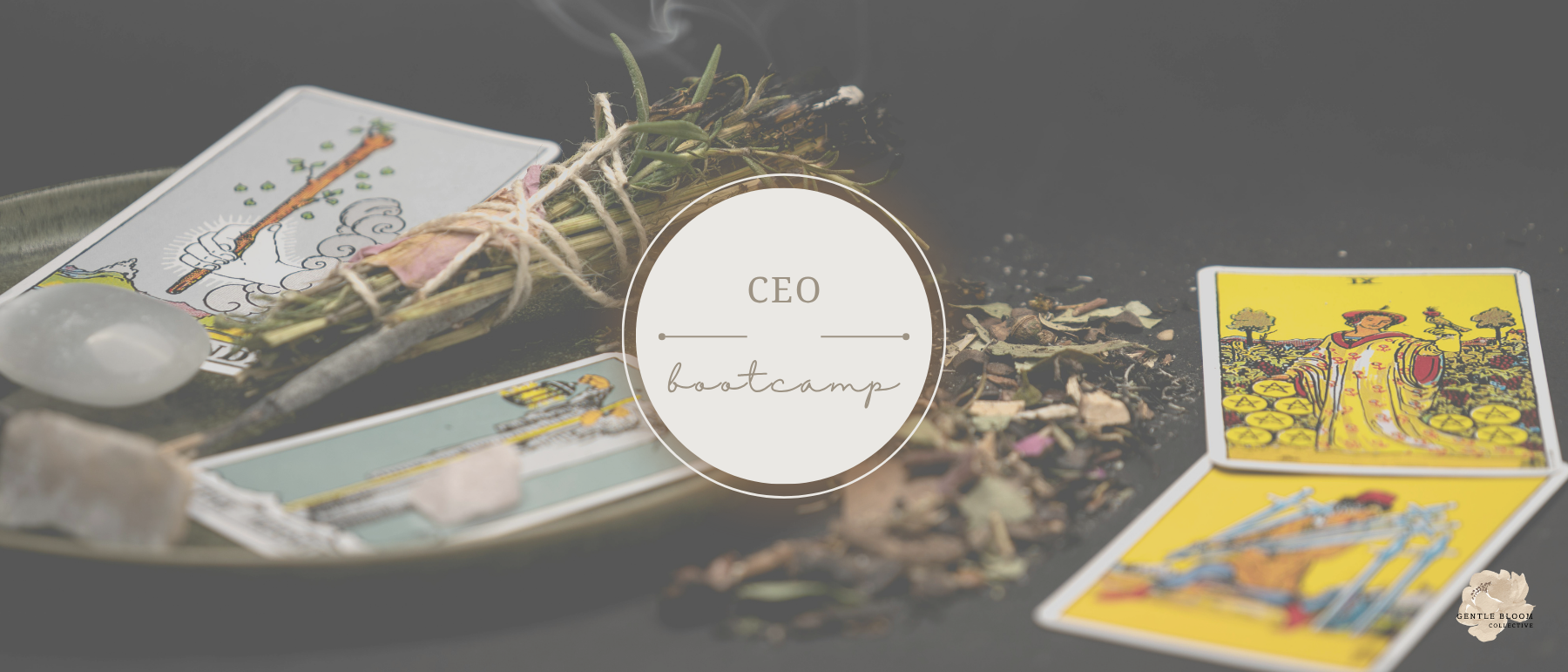 CEO BOOTCAMP: Draw Now, Launch Later