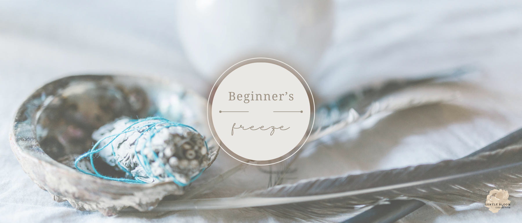 Beginner’s Freeze