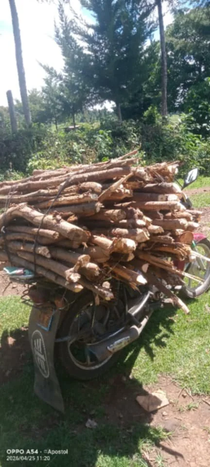 Firewood 2WhatsApp Image 2026-04-25 at 20.23.57.jpeg