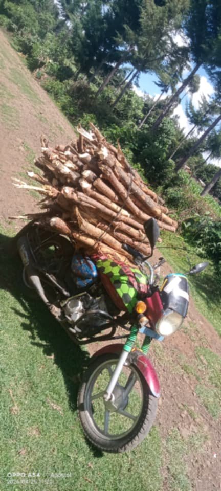 Supplying firewood