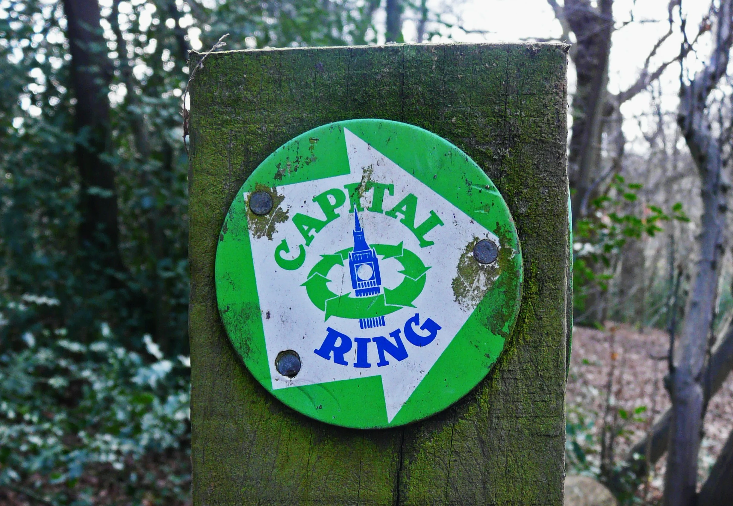 Capital Ring Walk update