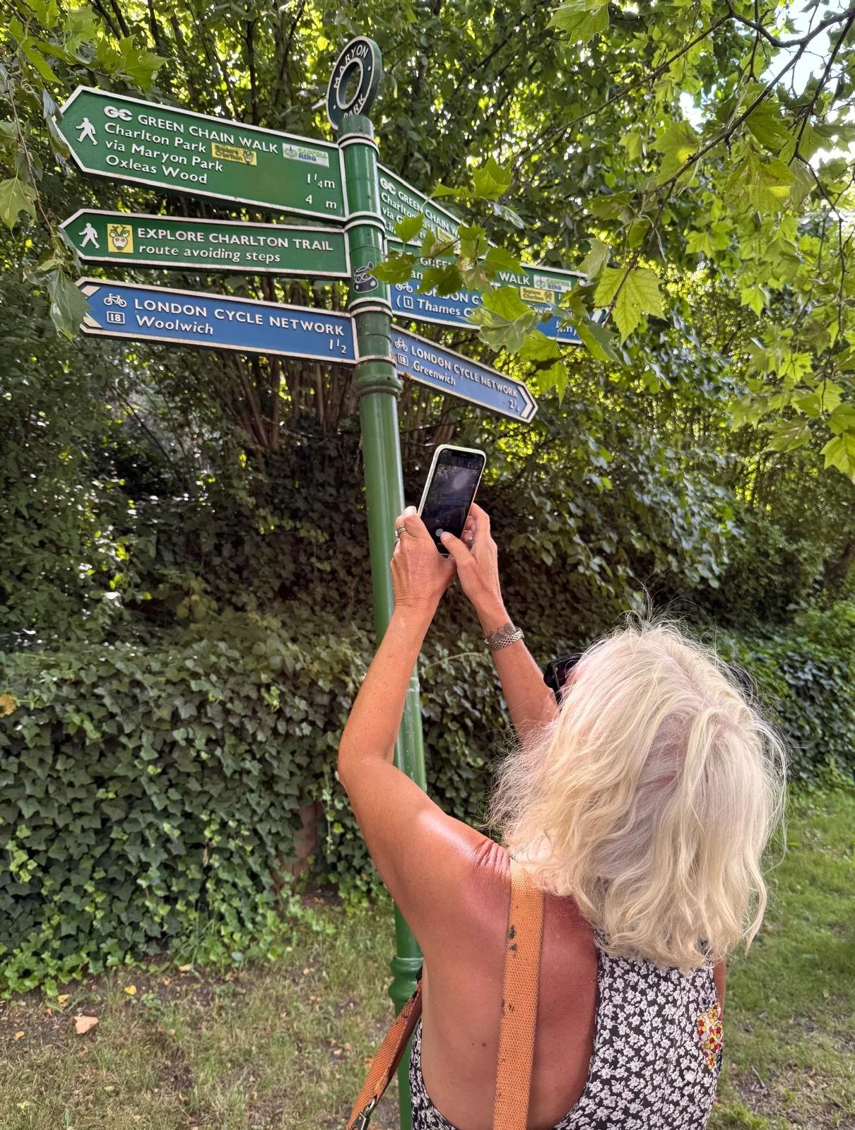 High point of the Capital Ring Walk