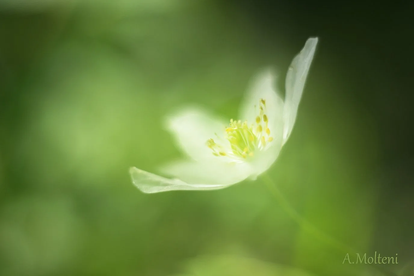 7. Reaching for some light