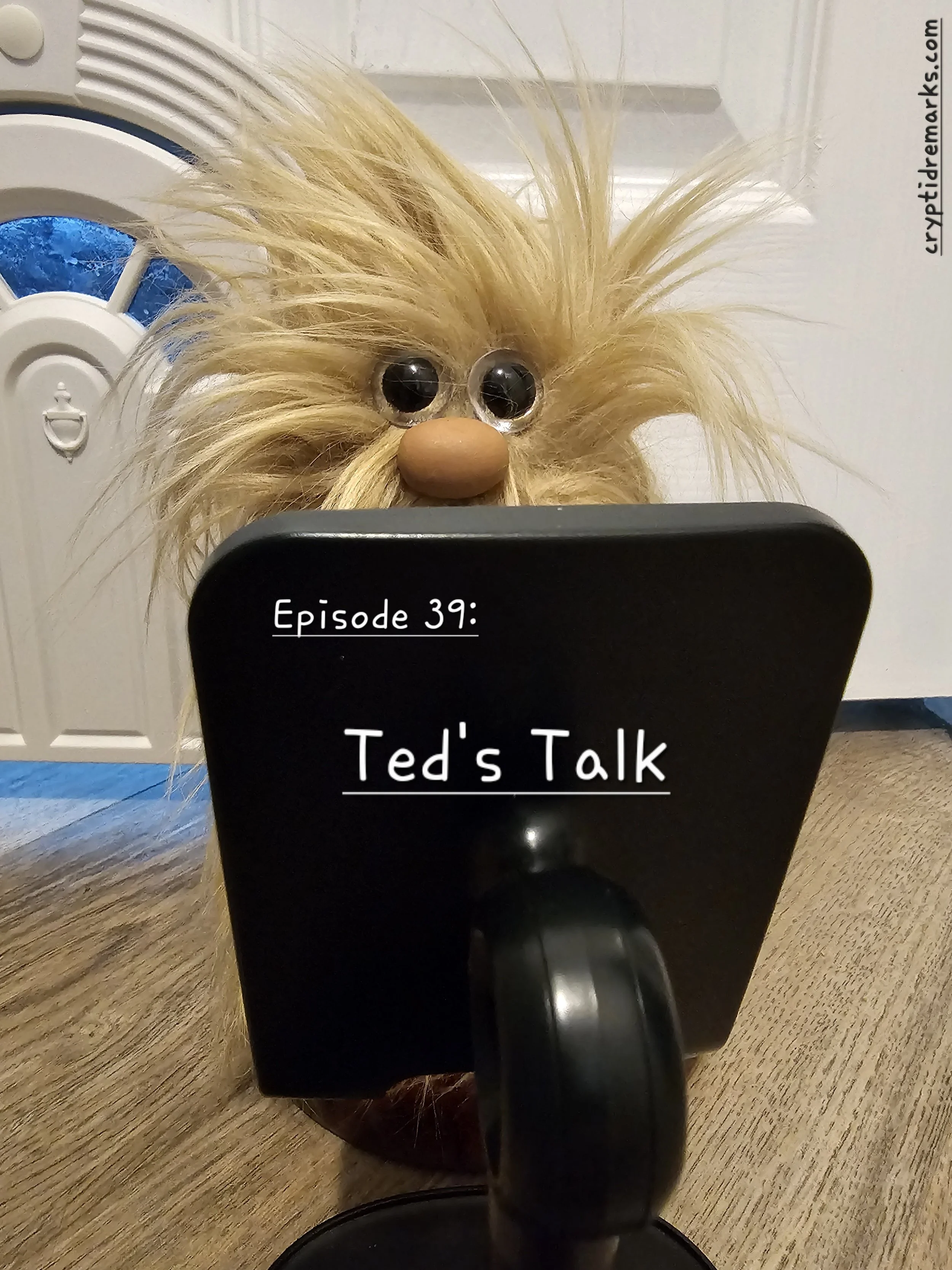 Episode 39: Ted's Talk