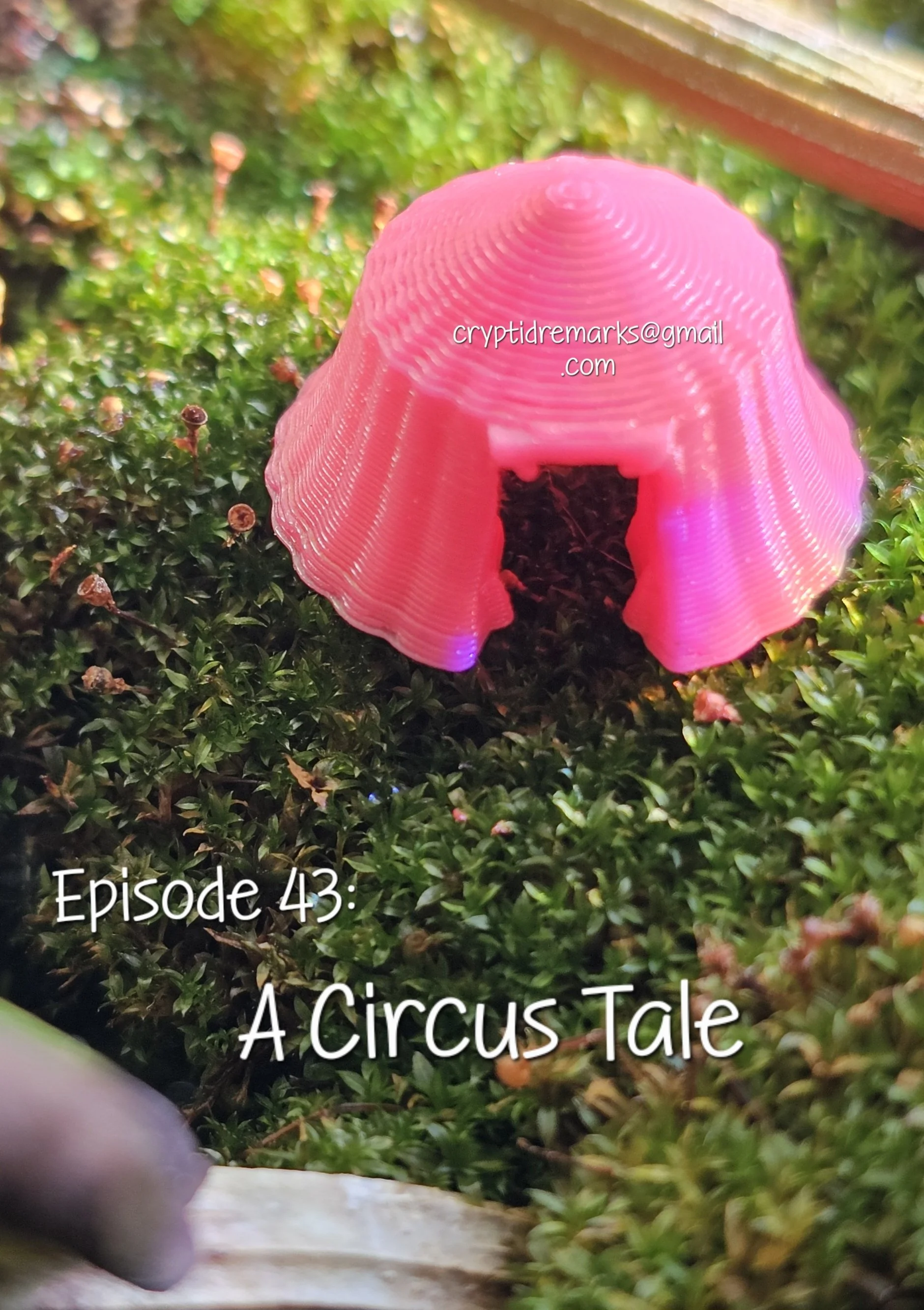 A tiny circus tent