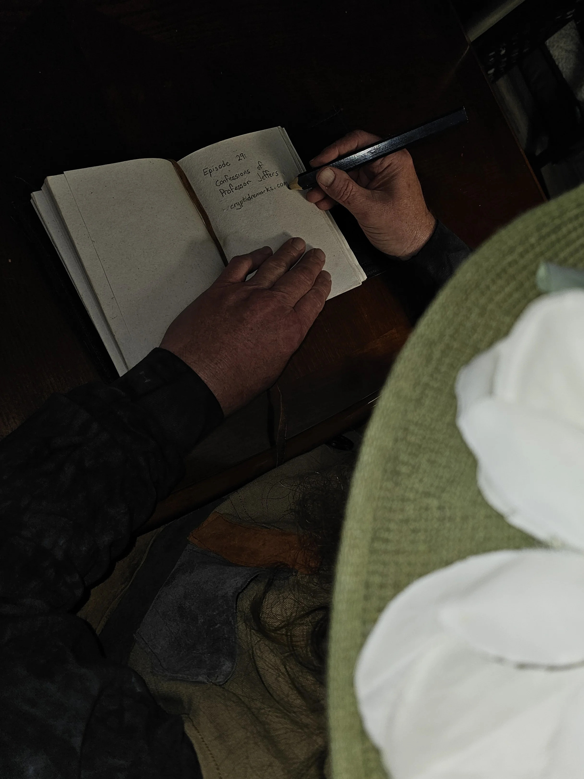 A person with a large hat writes in a notebook.
