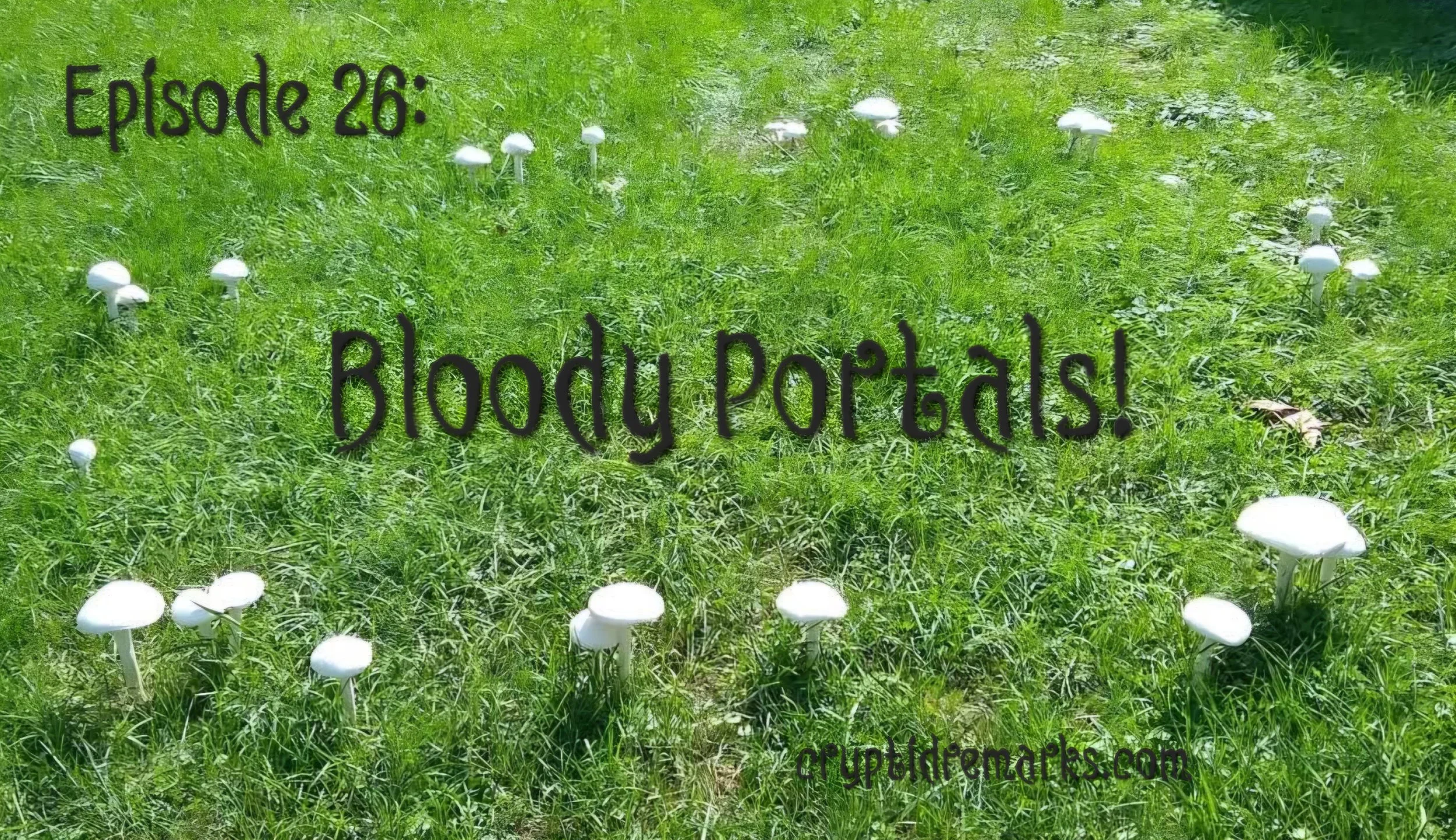 A picture of a grassy field with sparse white mushrooms