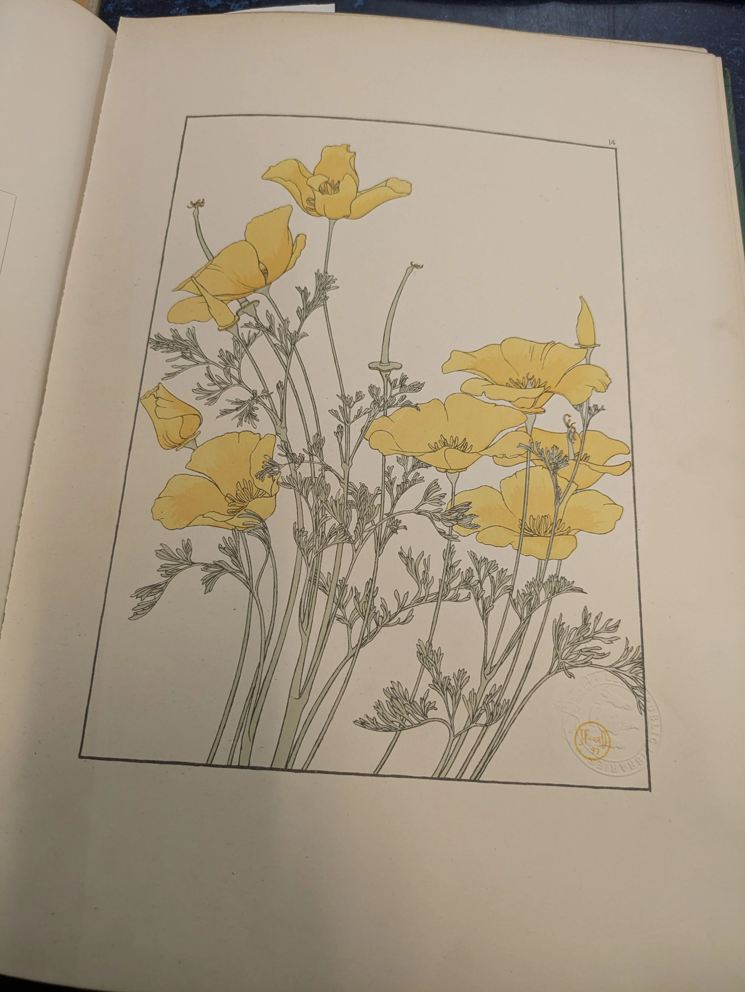 Herb Study Club