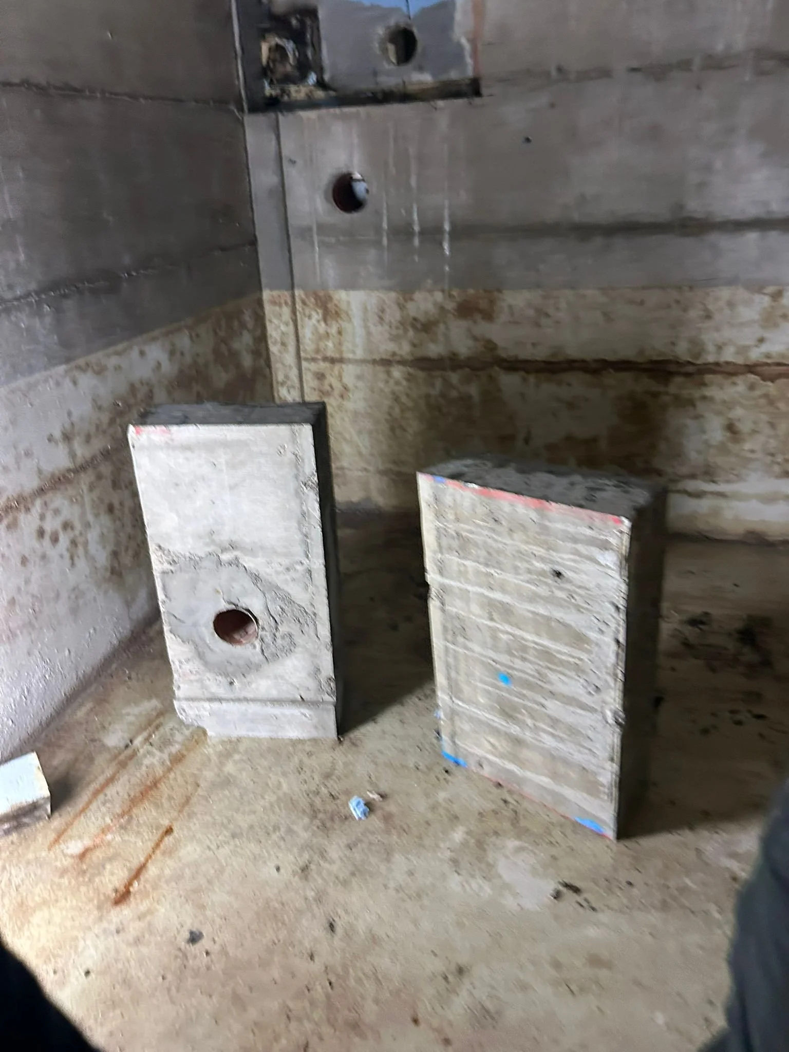 Kern_Schneiden (15).jpeg