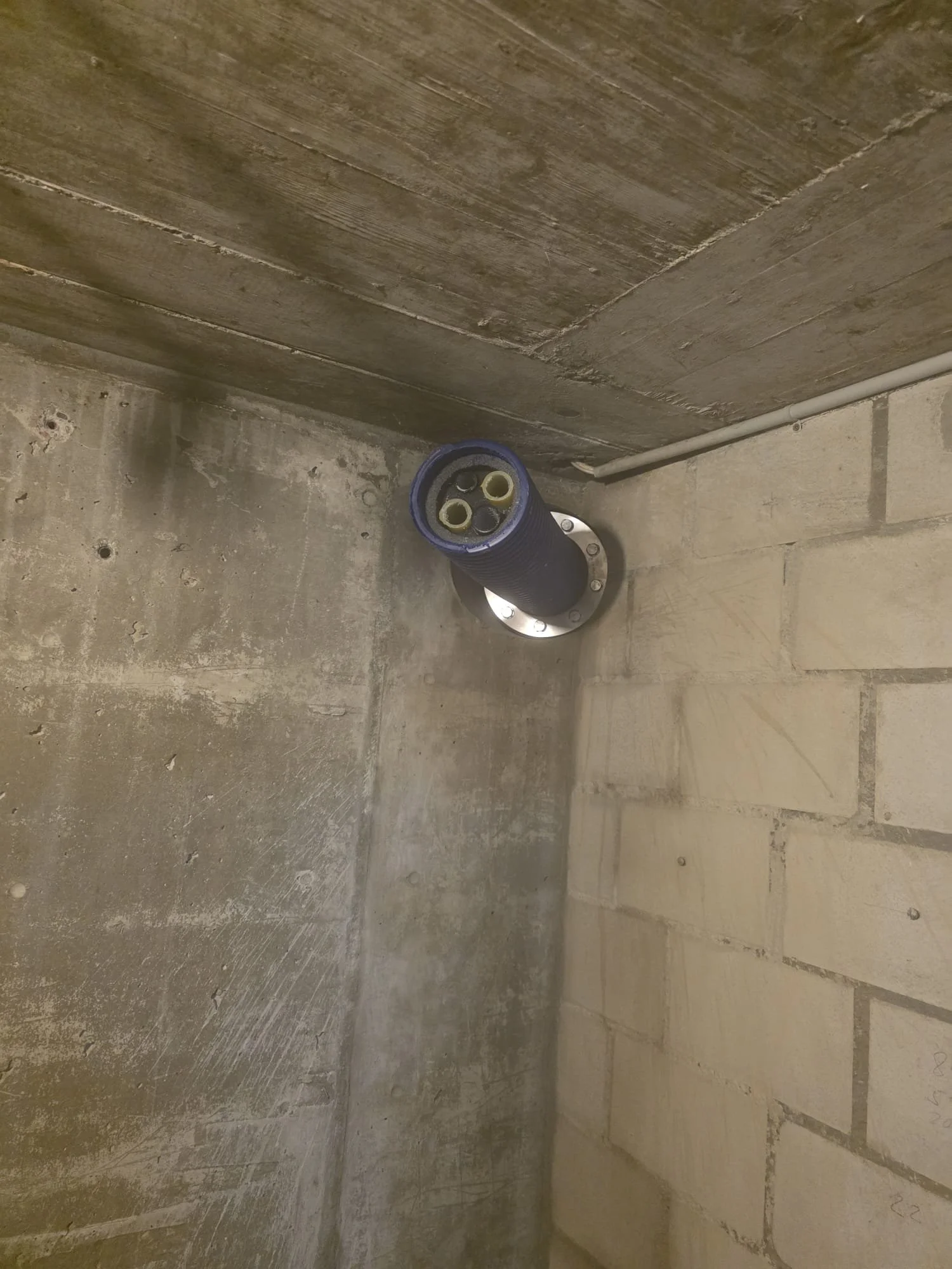 Kern_Schneiden (8).jpeg