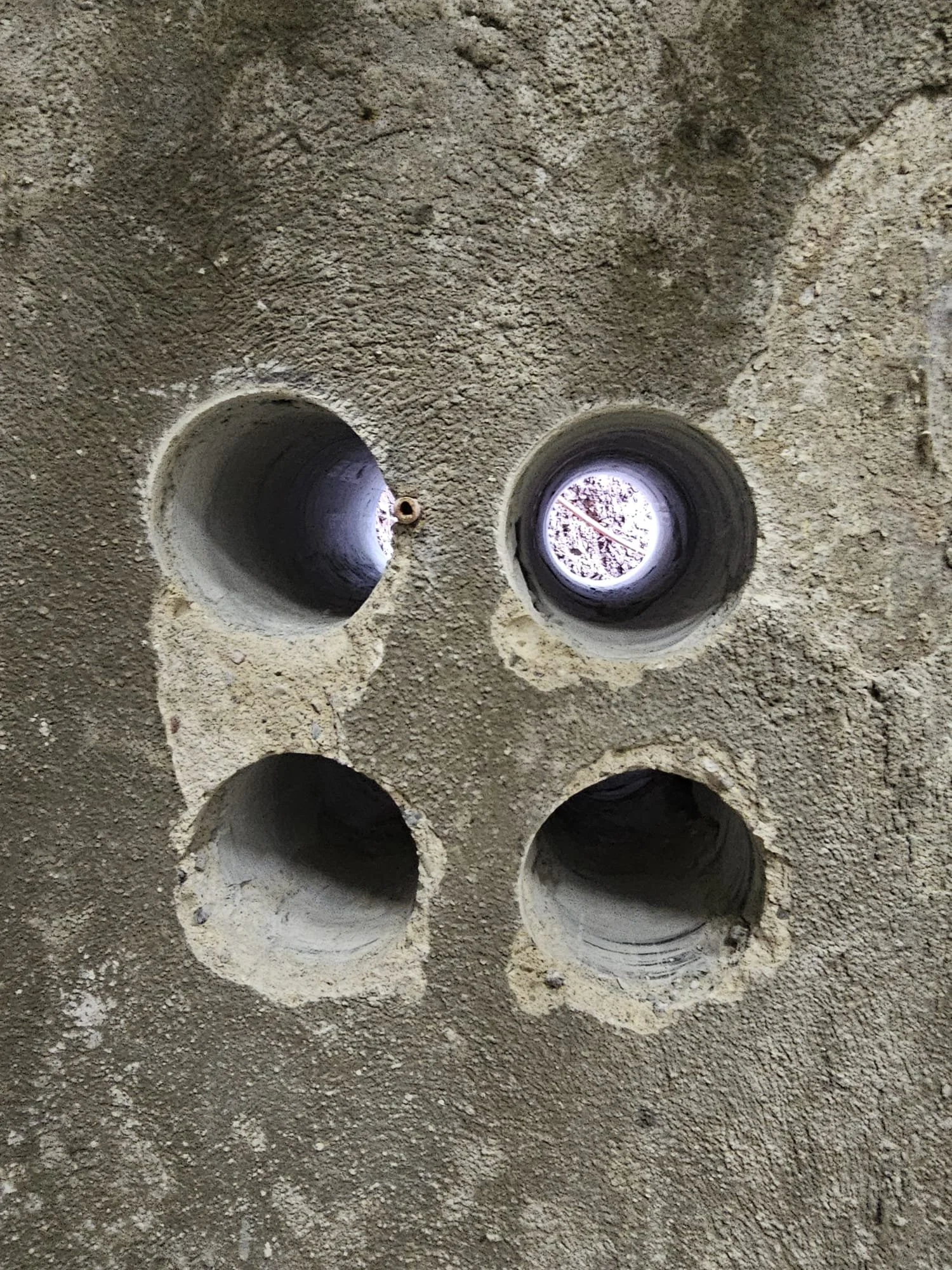 Kern_Schneiden (12).jpeg