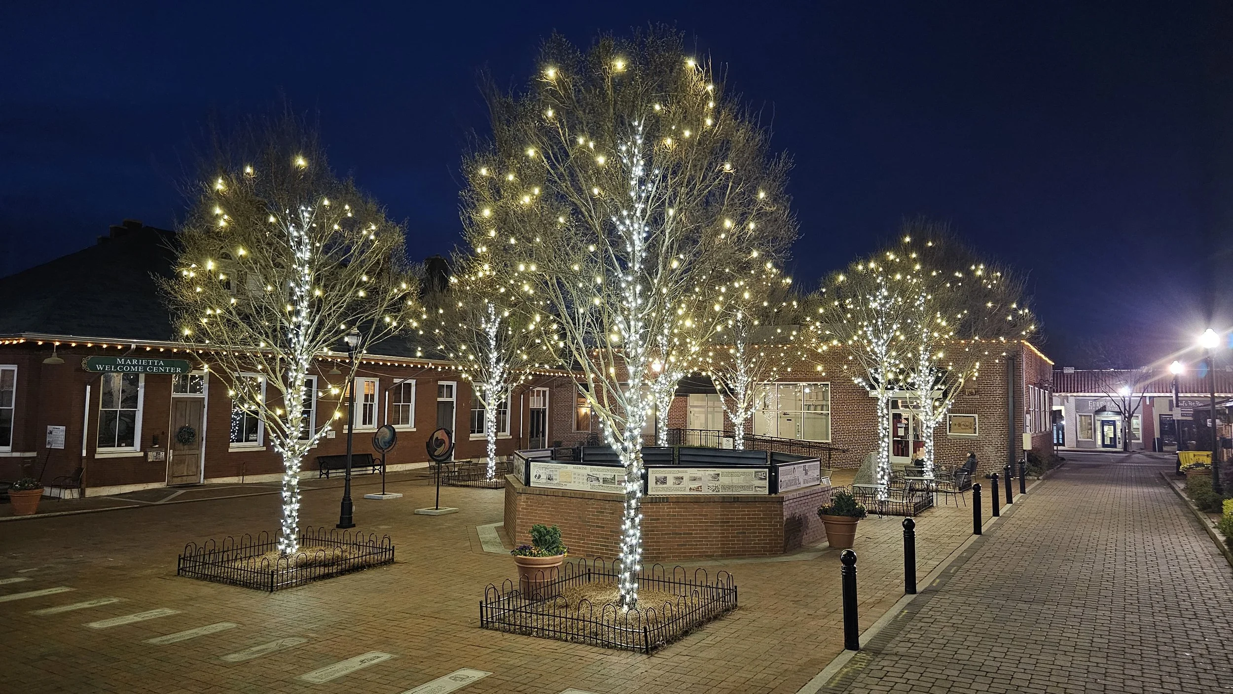 Atherton Square Park trees illuminated by Rich Lighting Co using year-round rated products
