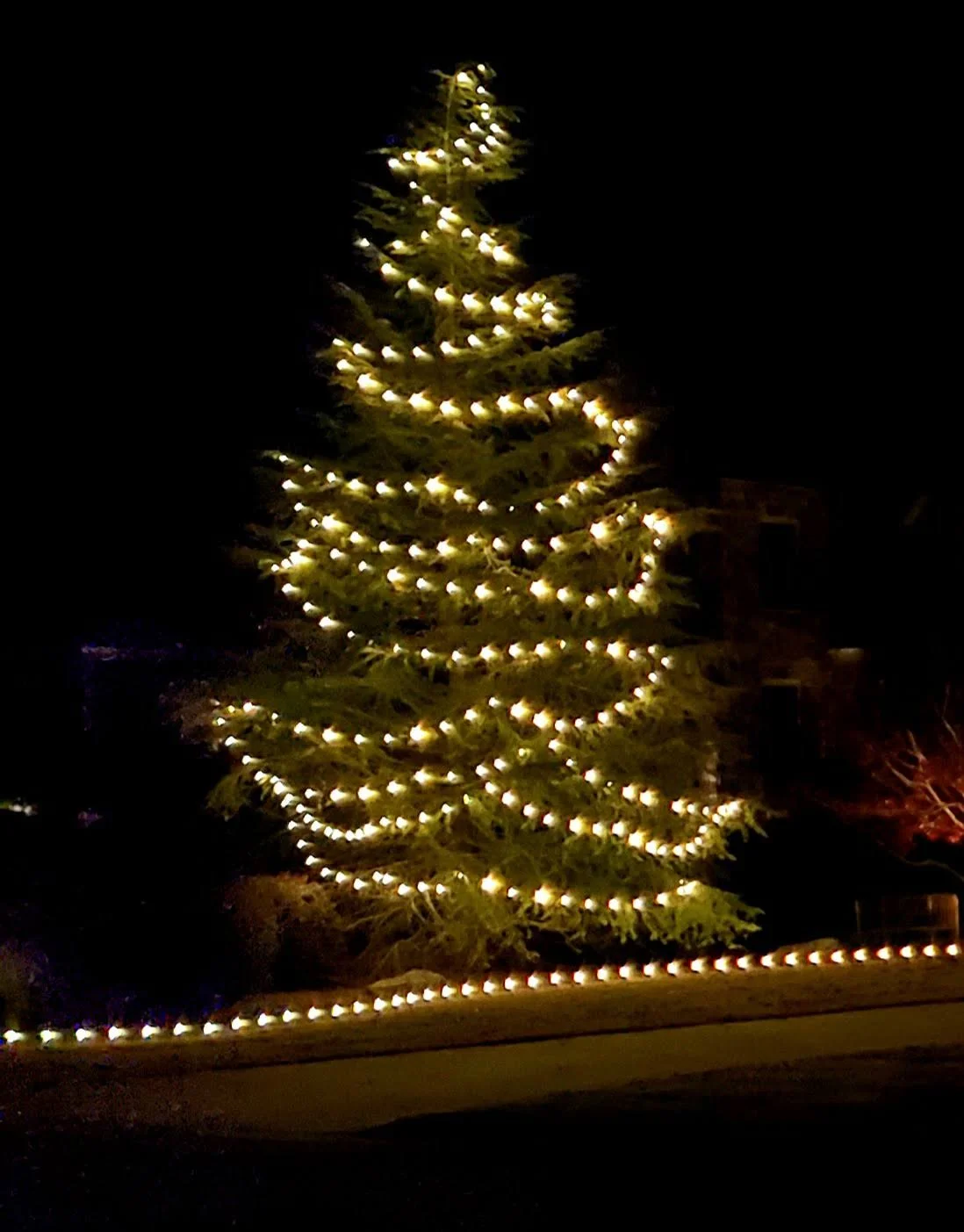 20211204_142348.jpg
