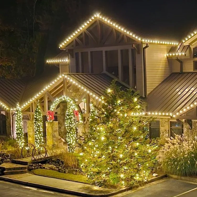 A house decorated with Christmas lights on the roof and surrounding the entrance. A Christmas tree in front is also lit up, creating a festive scene at night.