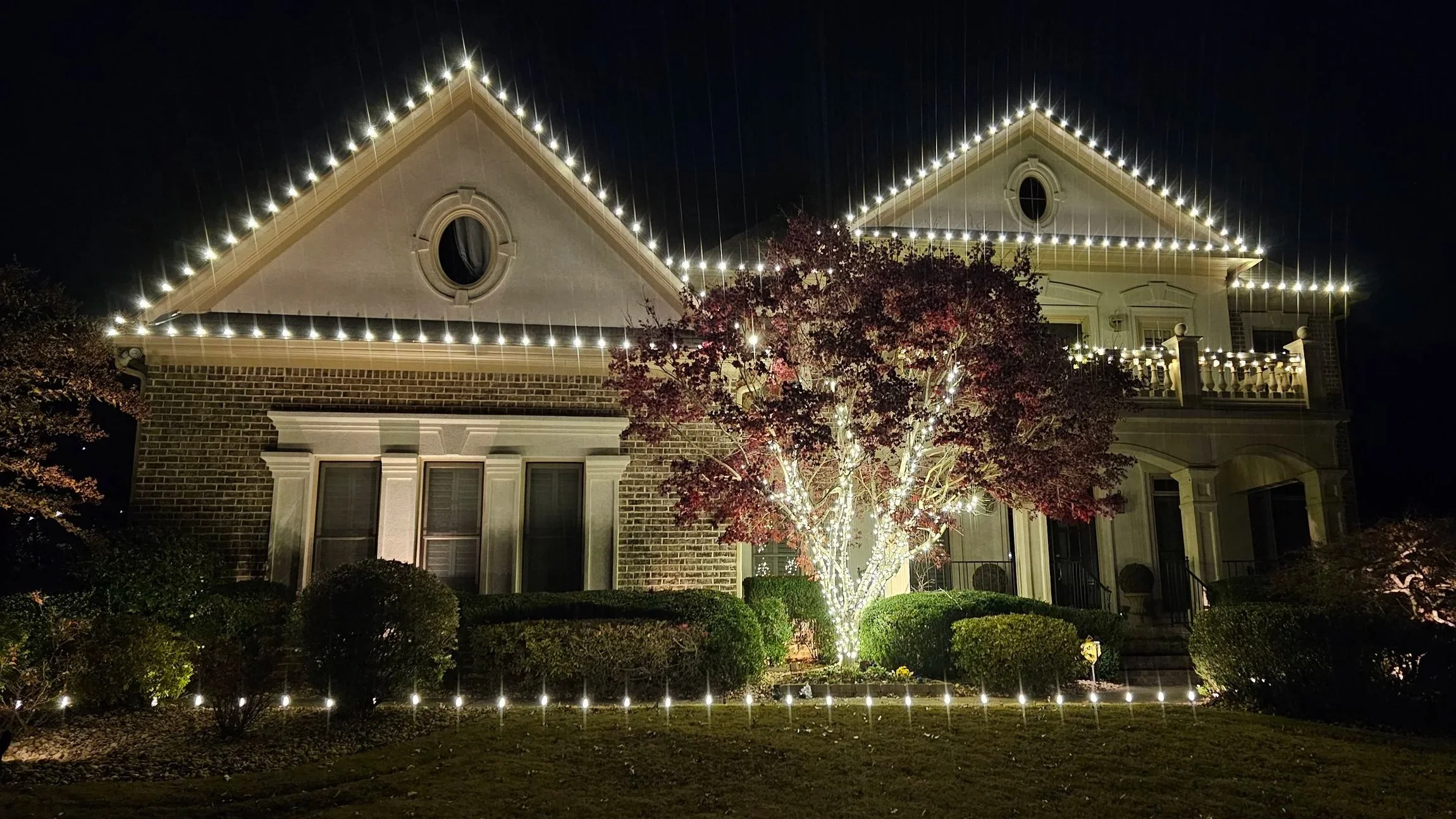 Warm white Christmas lights C9 roofline pathway lighting large japanese maple