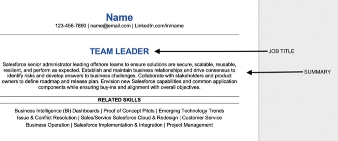 Your Resume Summary