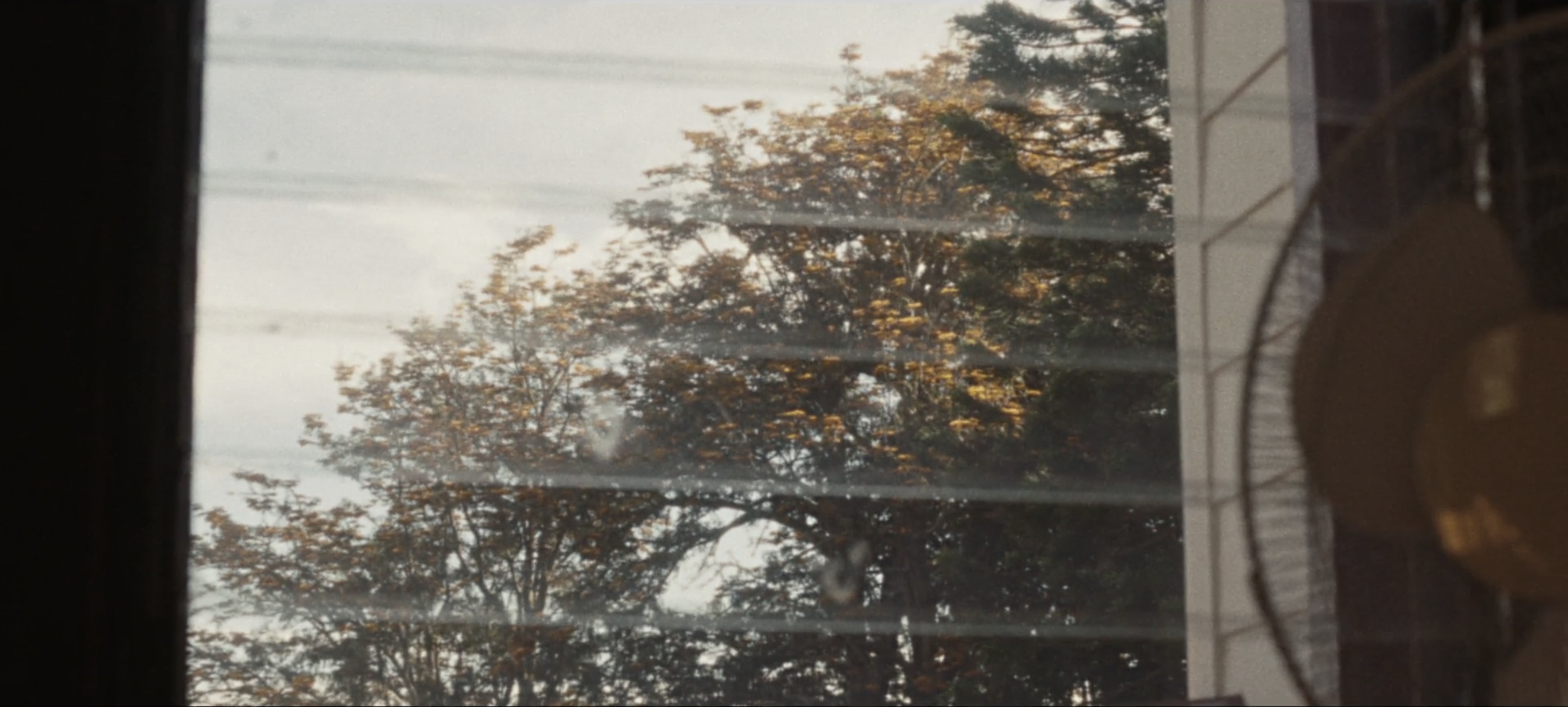 Screen Shot 2026-01-26 at 8.46.38 PM.png