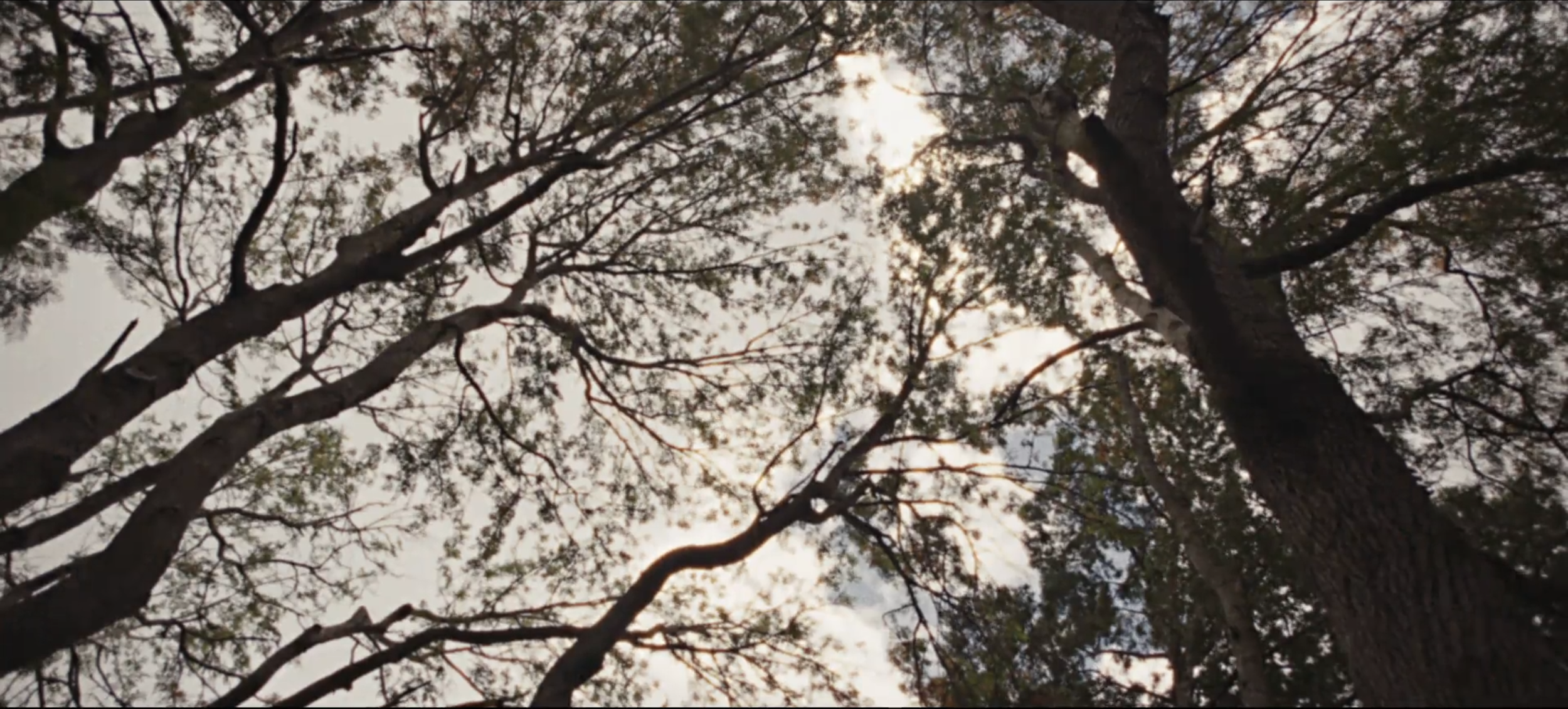 Screen Shot 2026-01-26 at 8.55.23 PM.png