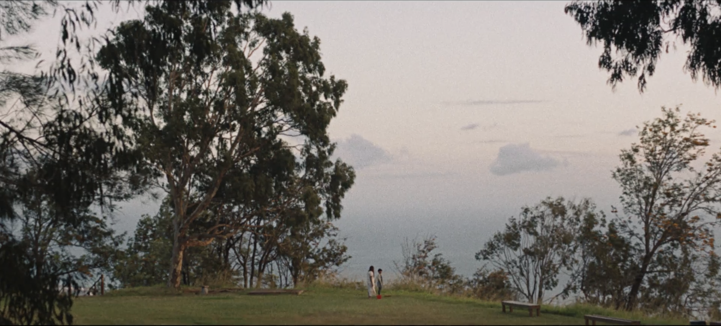 Screen Shot 2026-01-26 at 8.55.37 PM.png