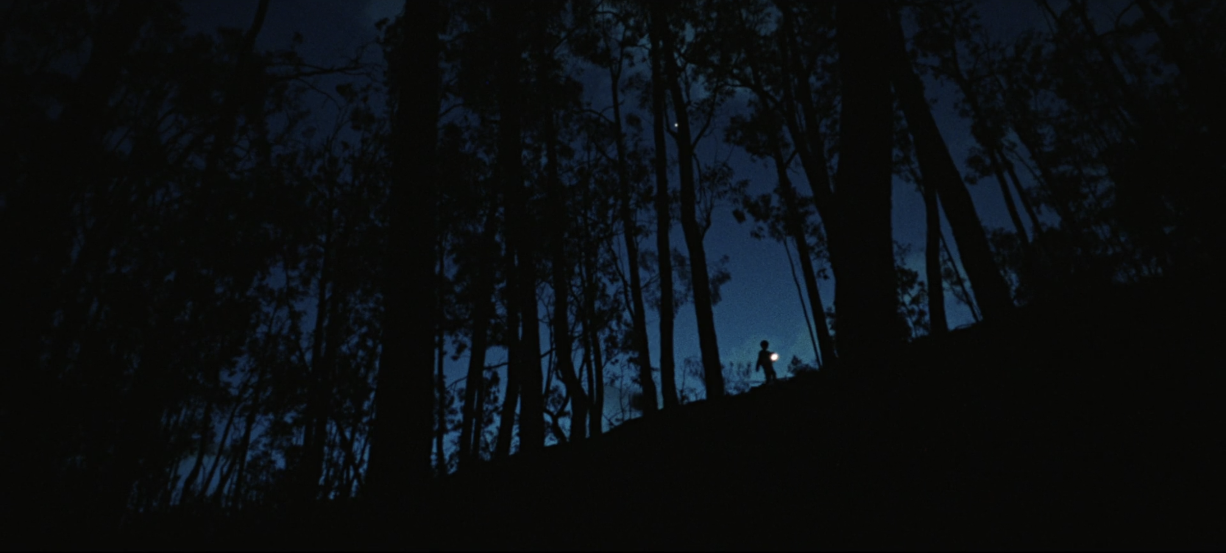 Screen Shot 2026-01-26 at 8.52.57 PM.png