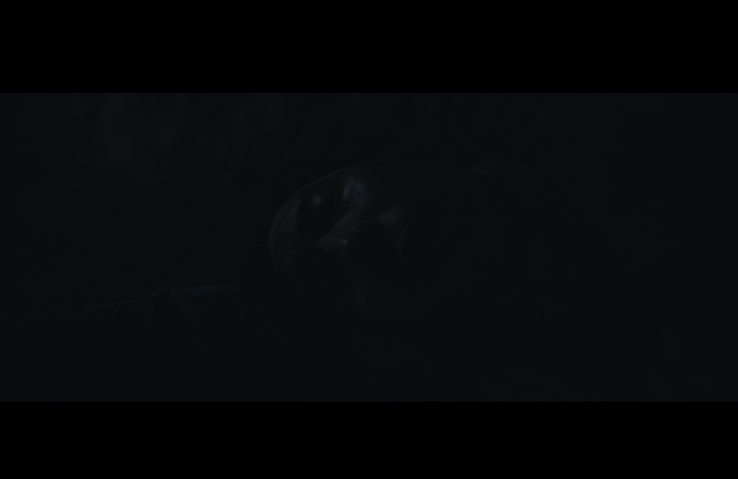 Screenshot 2026-04-20 at 1.43.33 AM.PNG