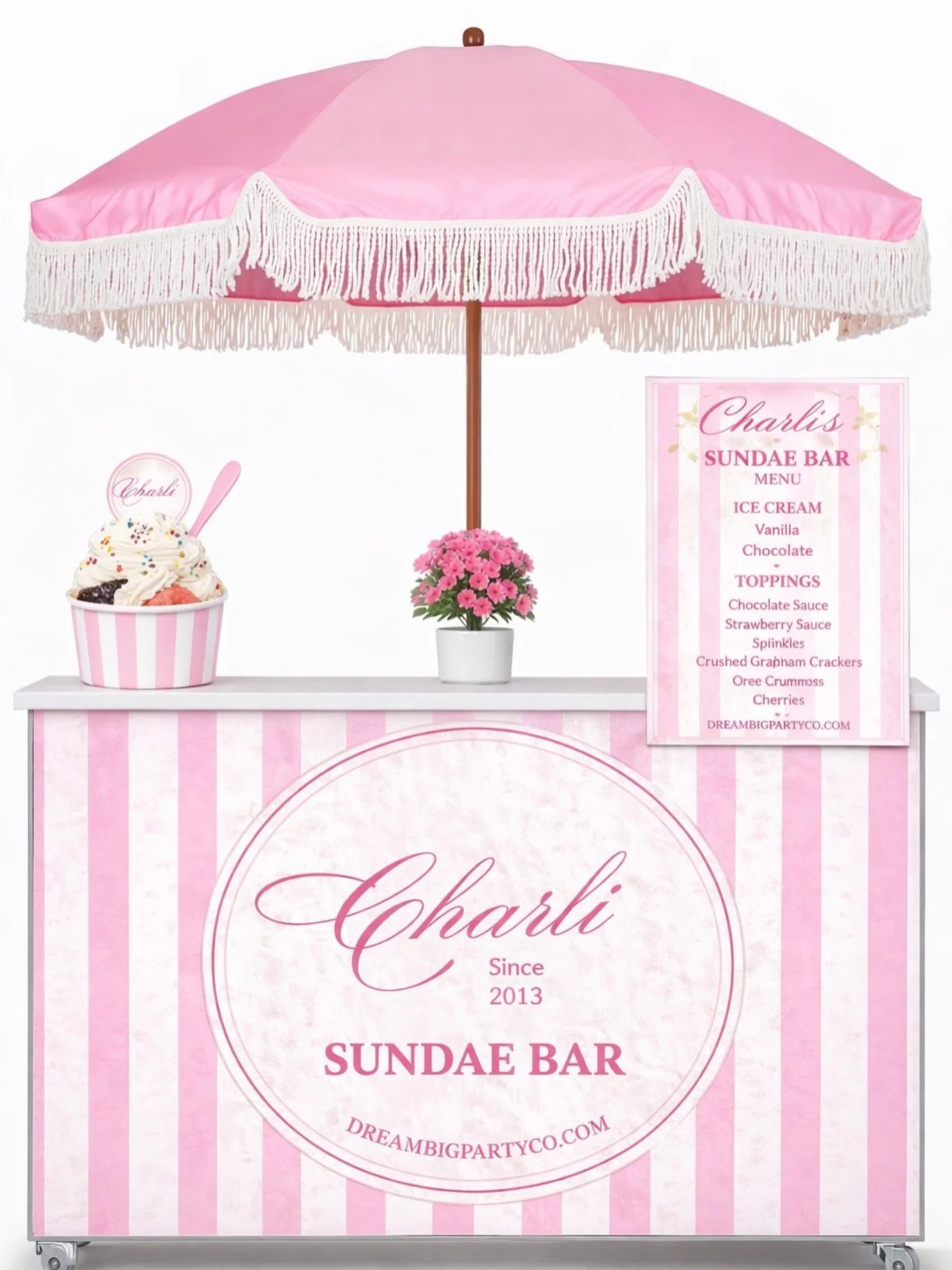 All Things Pink for Charli's Bat Mitzvah 🩷