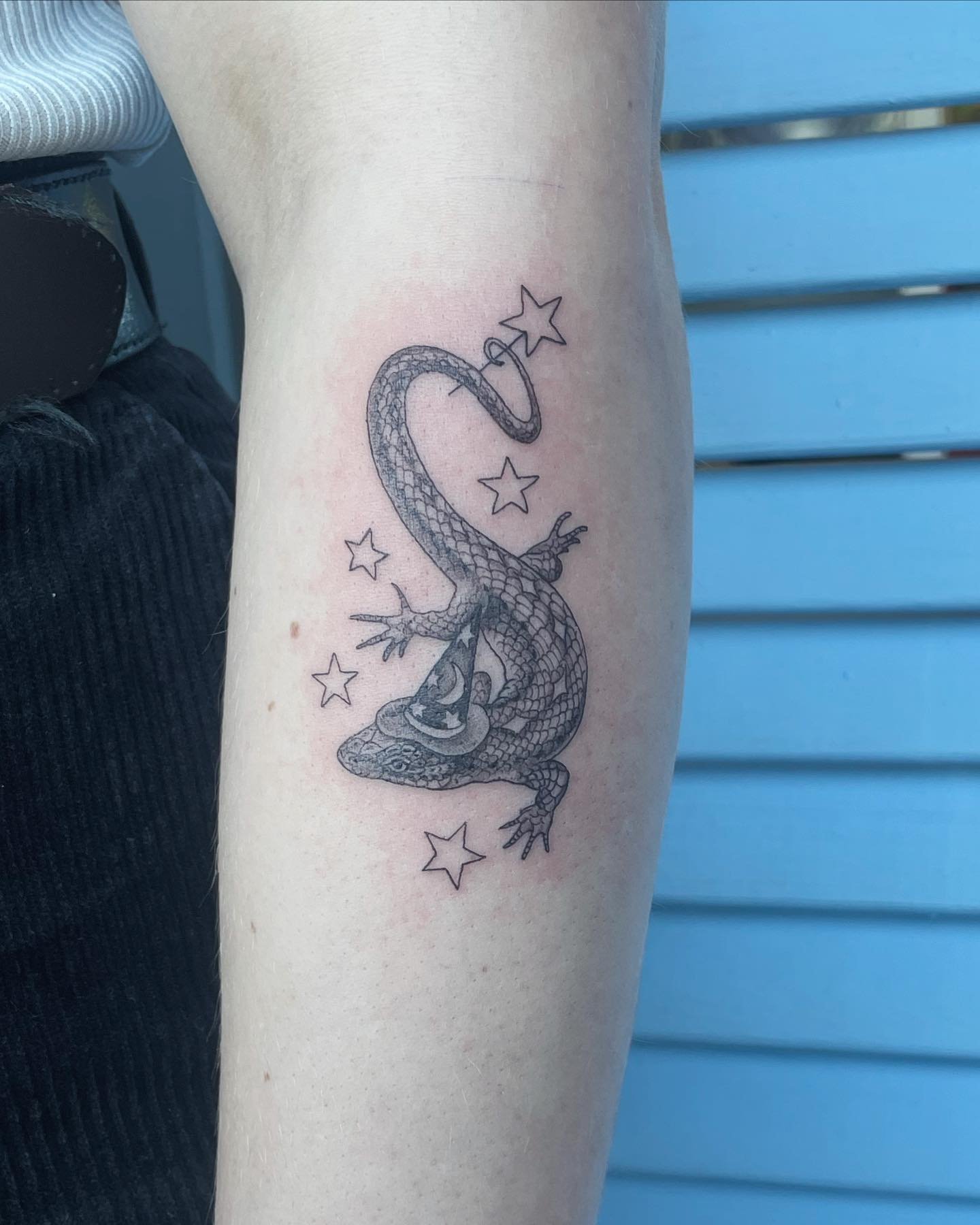 Lizard Wizard! Tack Emma 🦎