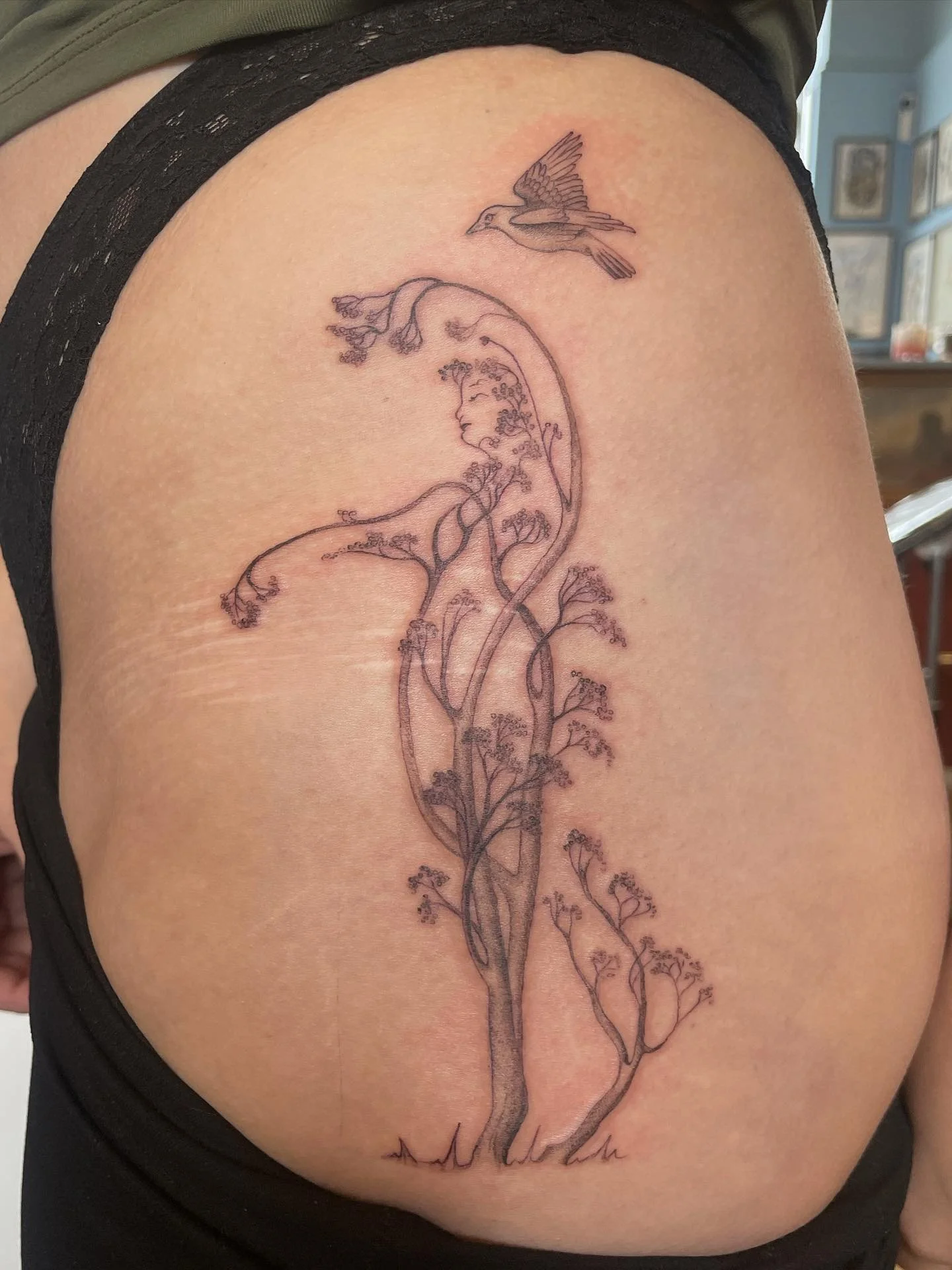 🌿🌿🌿 Tack Ellen !