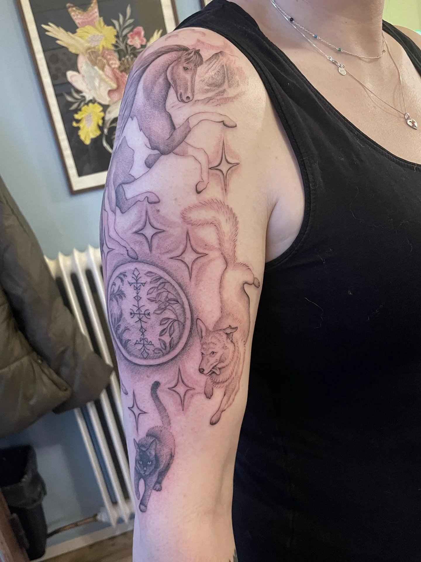 Johanna&rsquo;s &auml;lskade djur! Tack Johanna 🌞