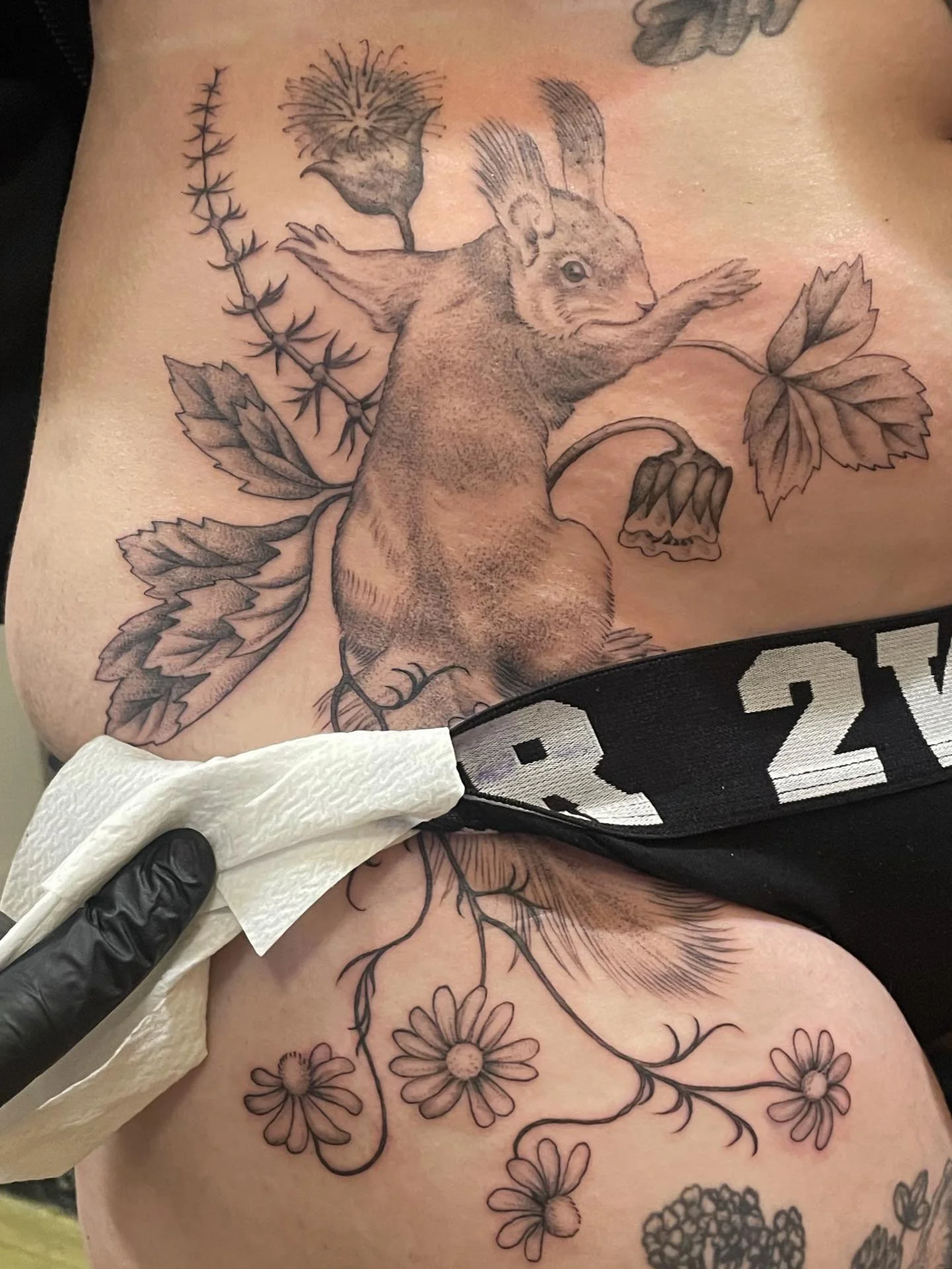 Ekorre! Tack Lo 🌼🐿️🌼