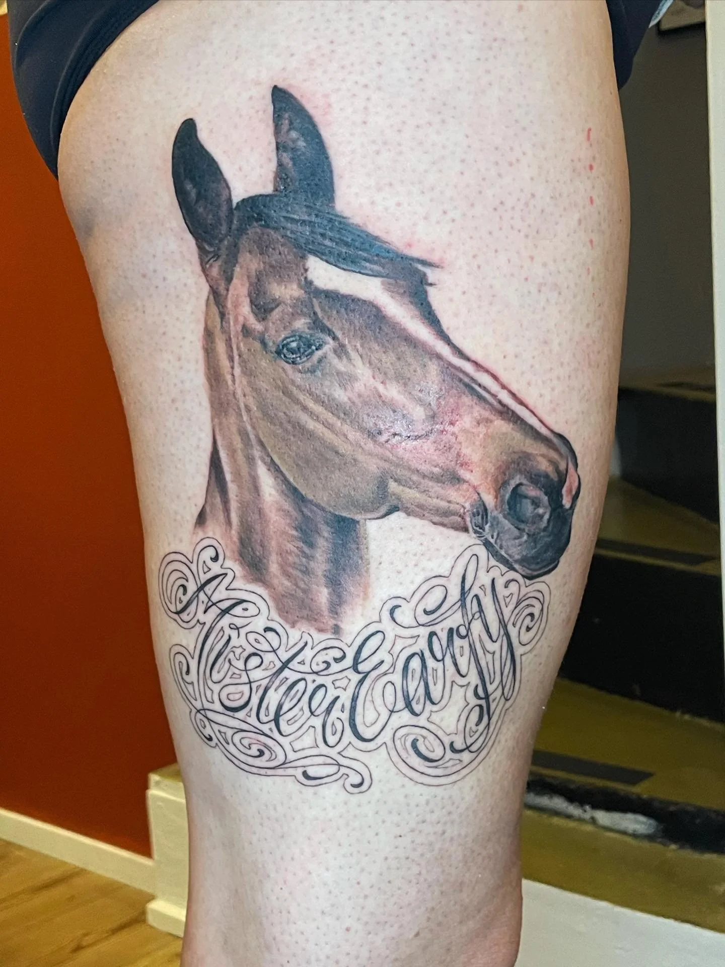 Mister Earfy 🌞 Tack Therese!