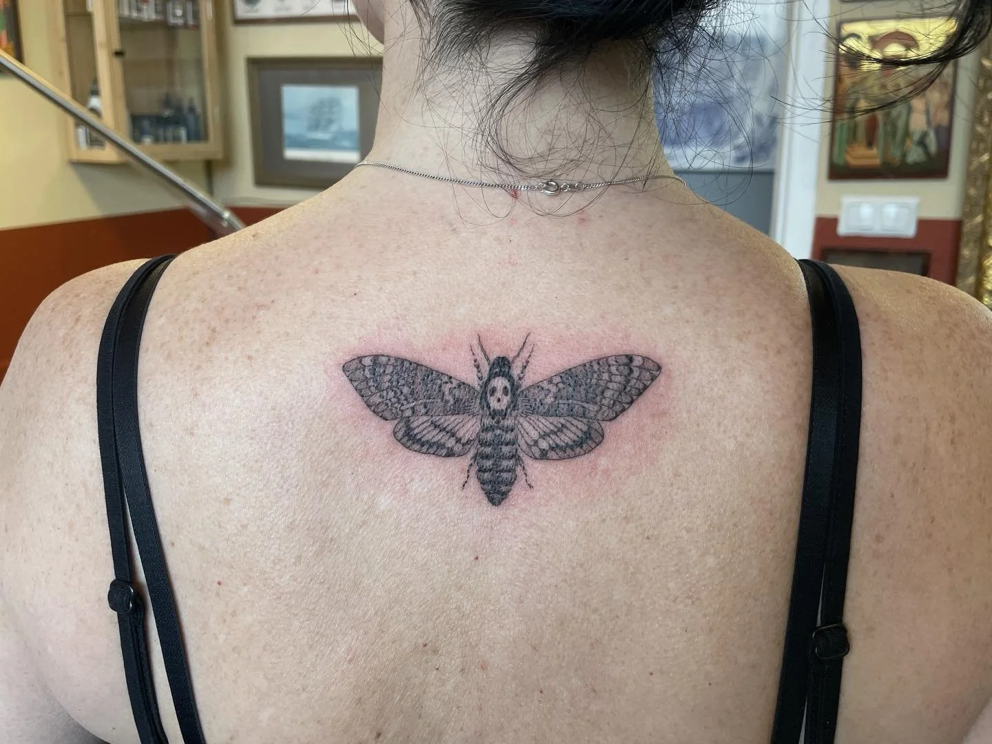 Tack Geraldine 🤫🐑