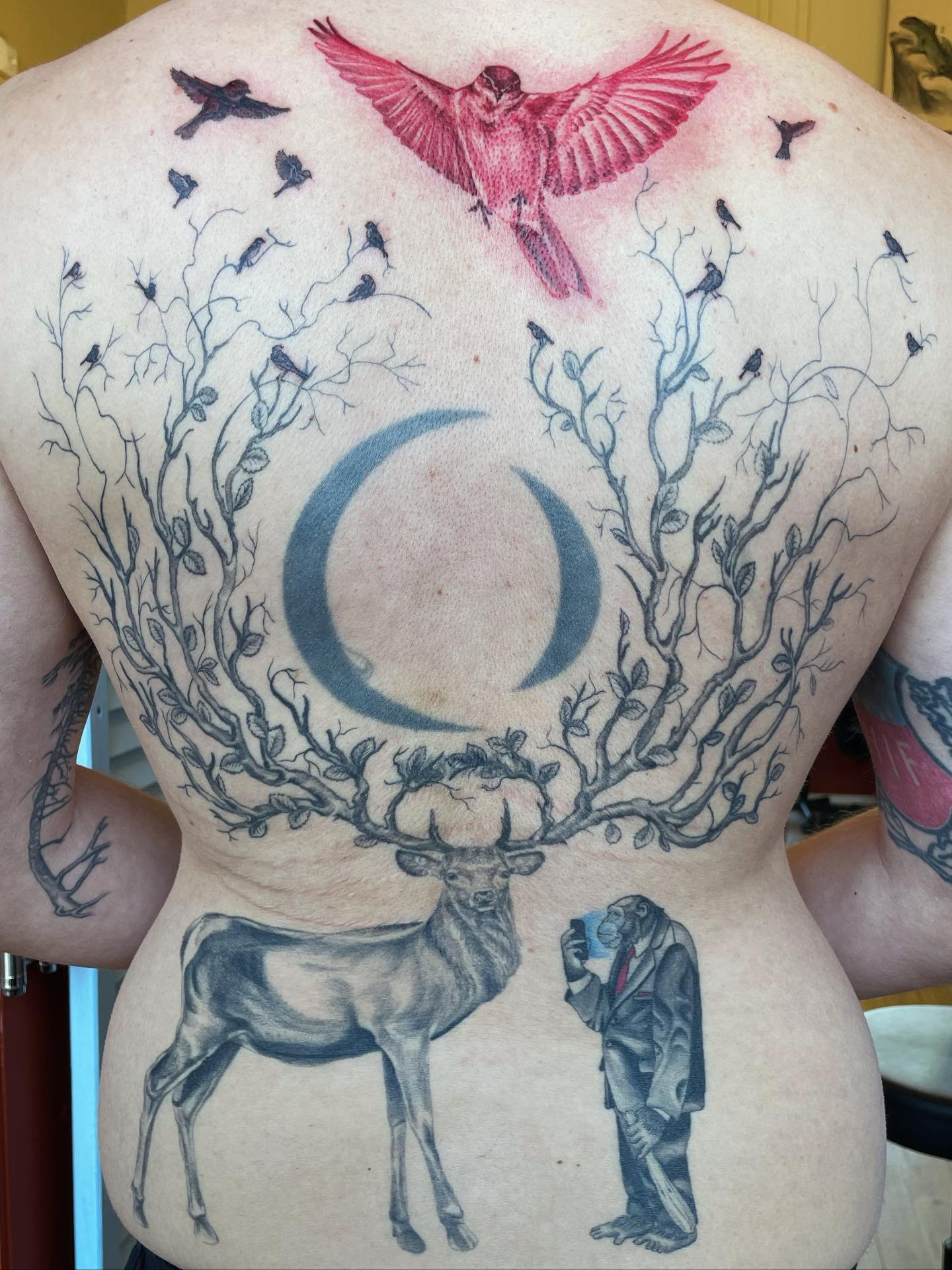 Sparven 🦅 Tack Hjalmar !