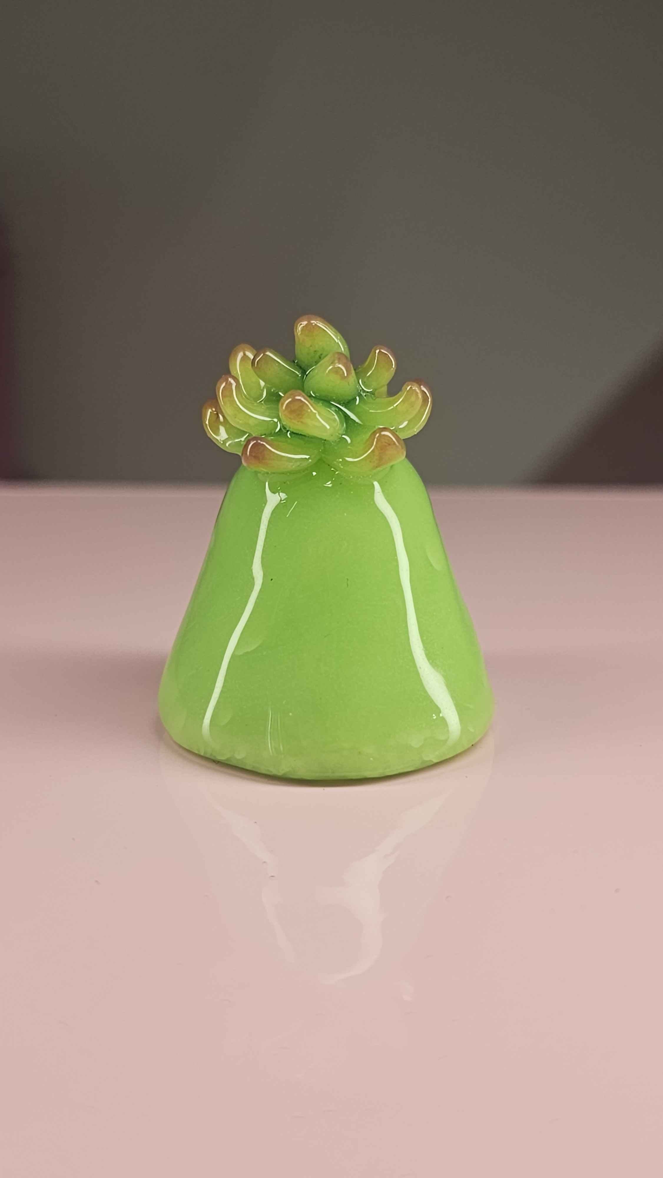 20260726_155042.jpg